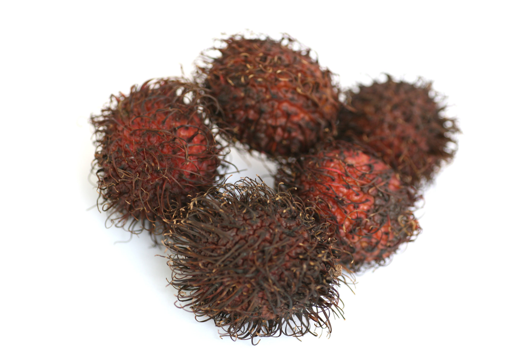 Rambutan