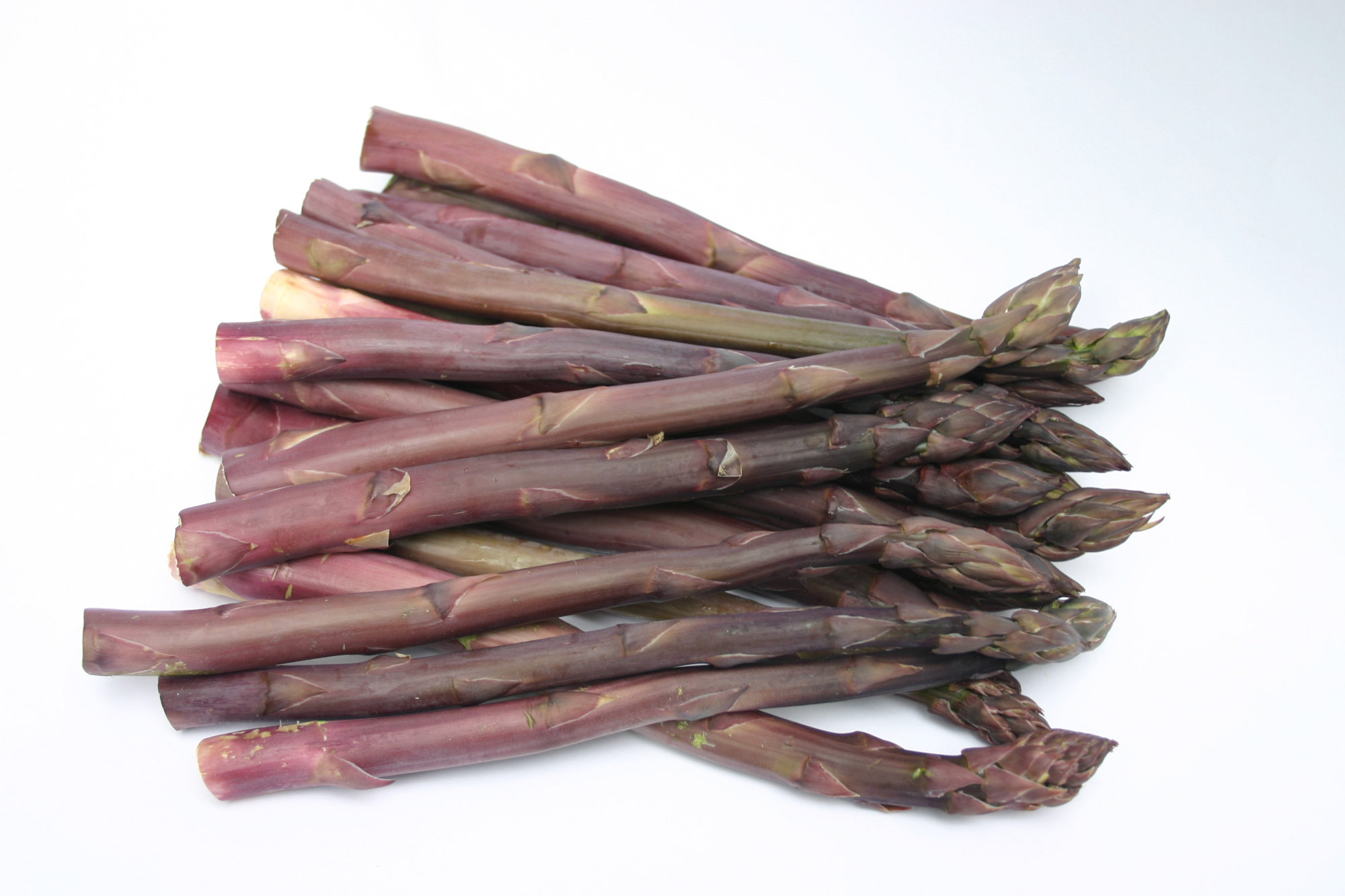 Asparagus — Purple
