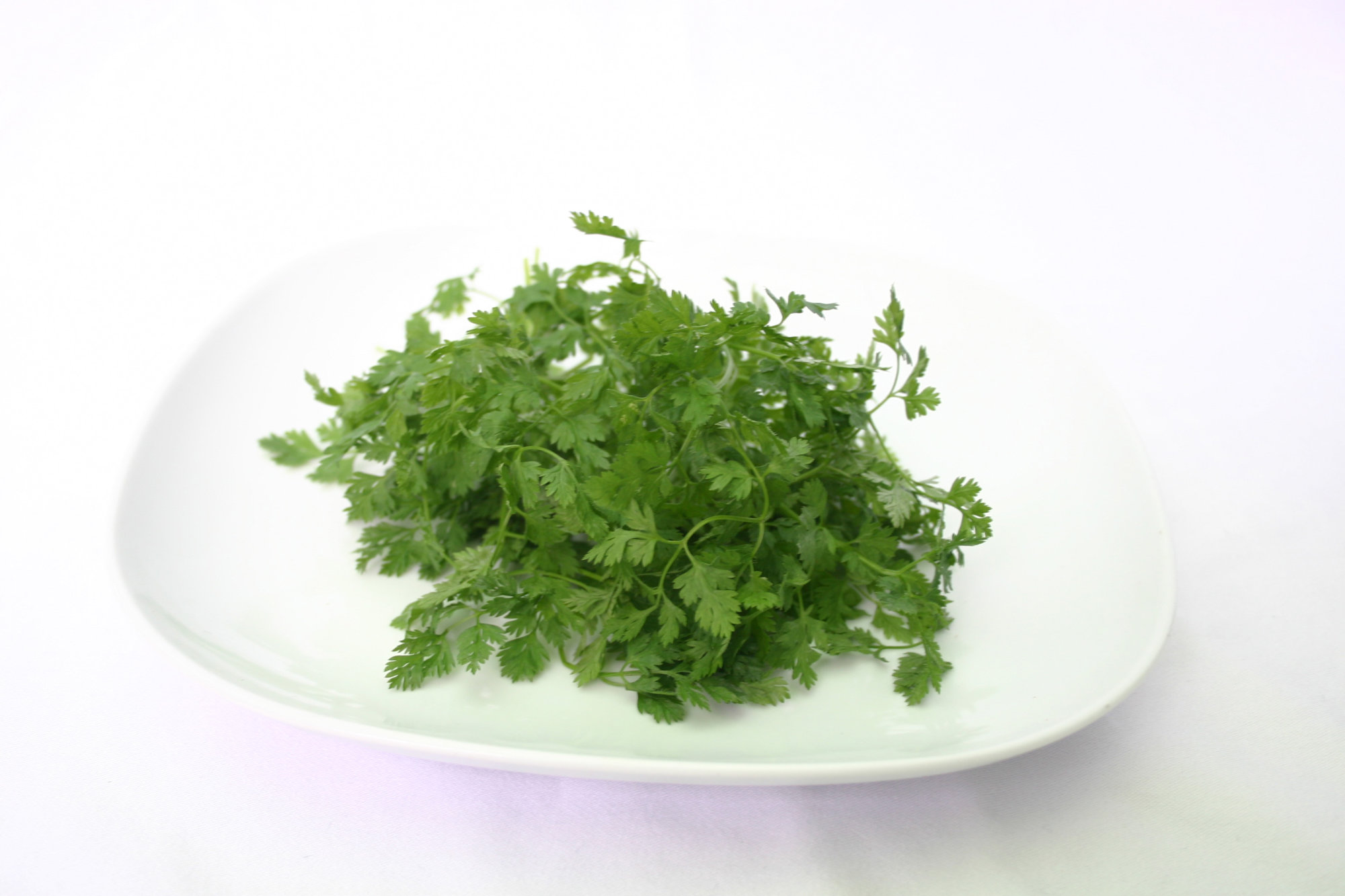Chervil