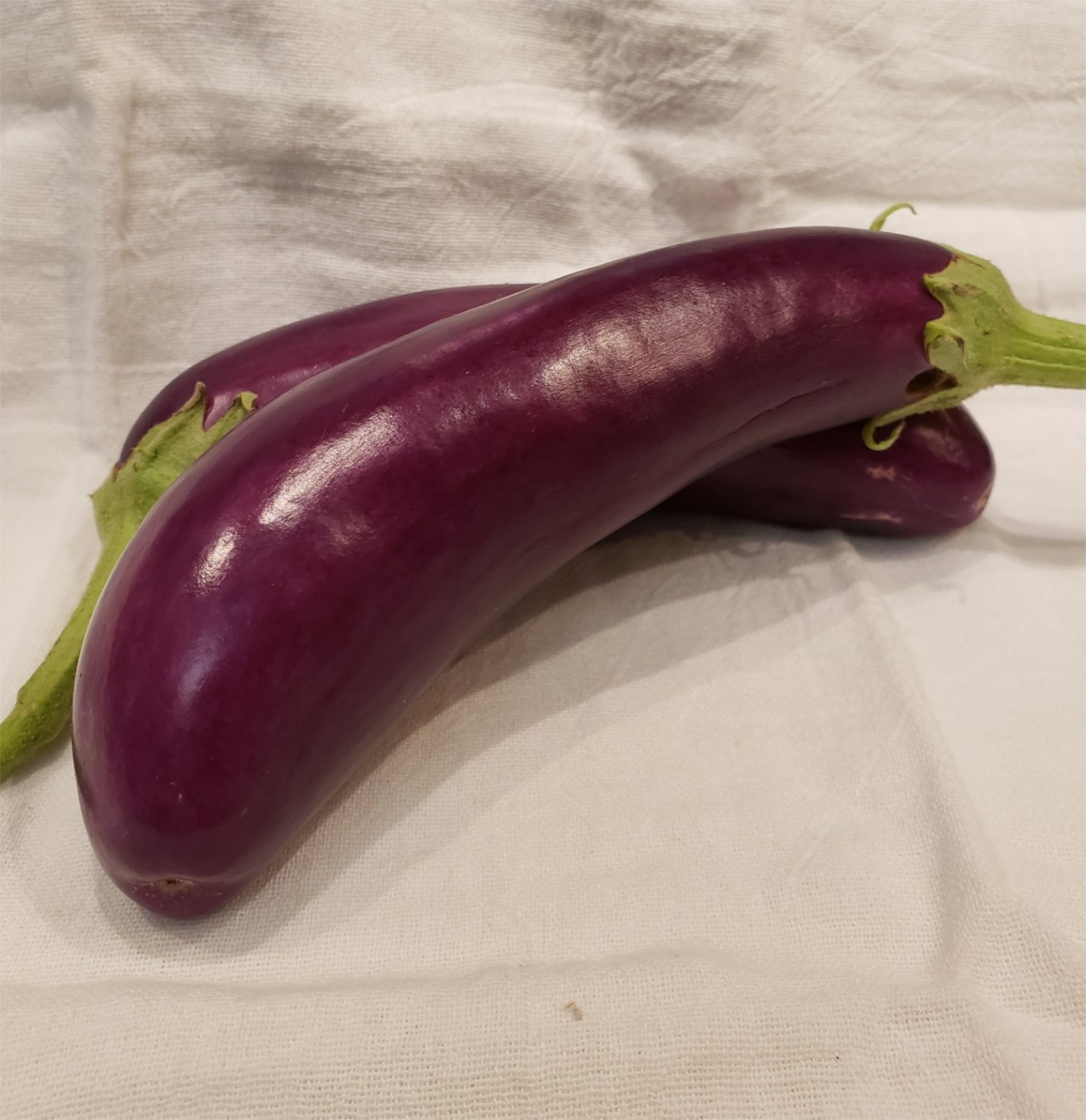 Eggplant (Aubergine) — Chinese