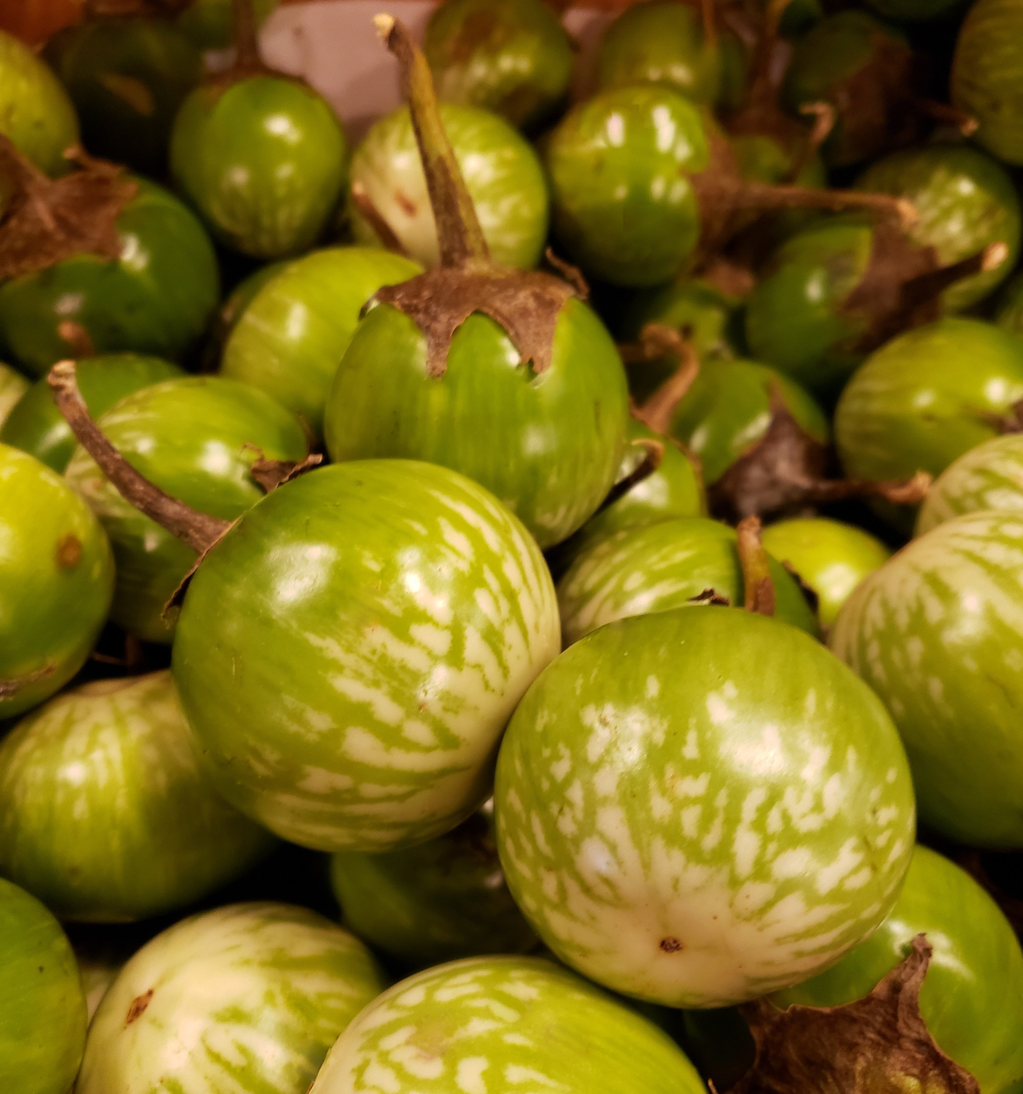 Eggplant (Aubergine) — Thai