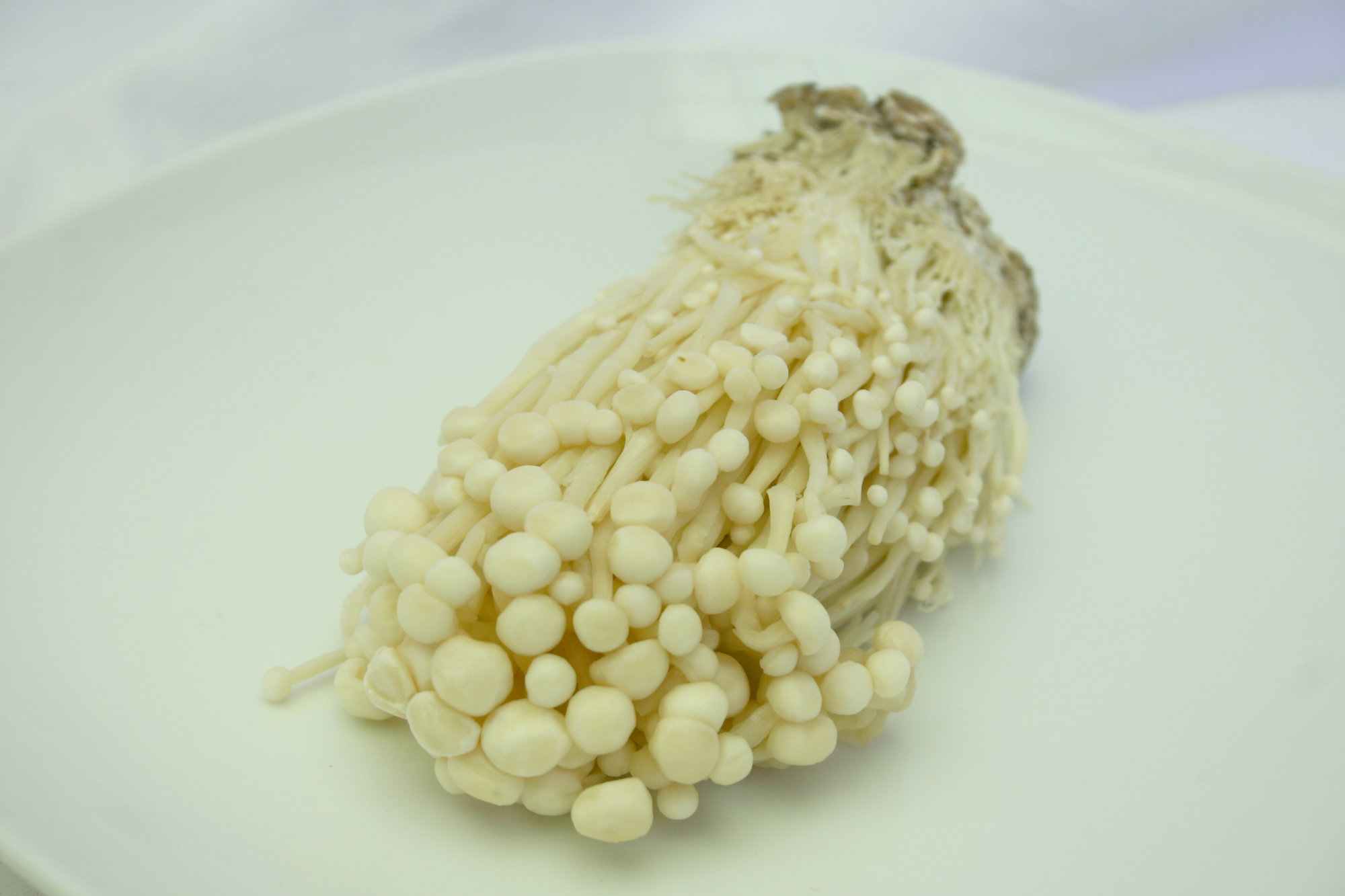 Mushrooms — Enoki