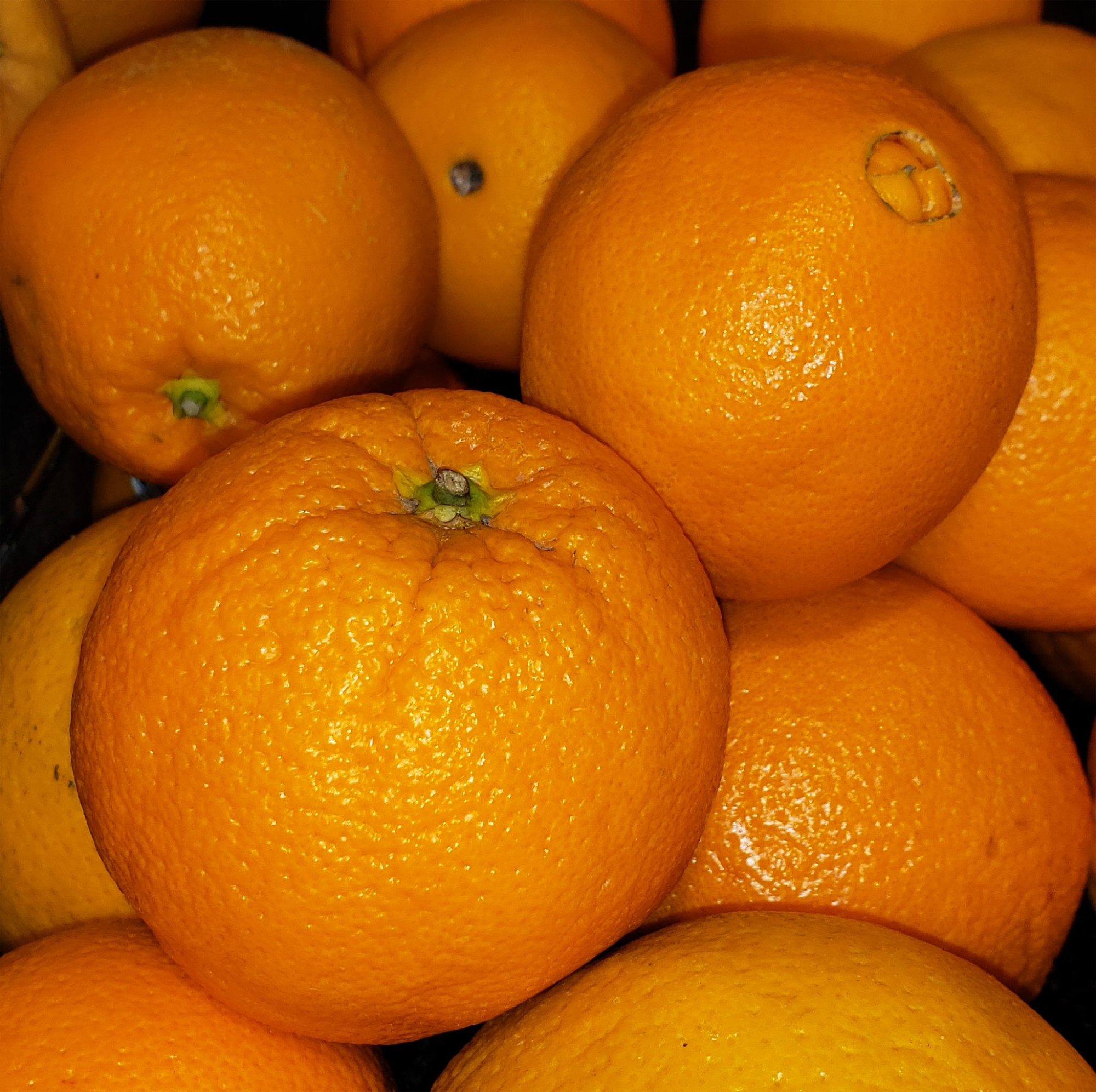 Oranges — Navel