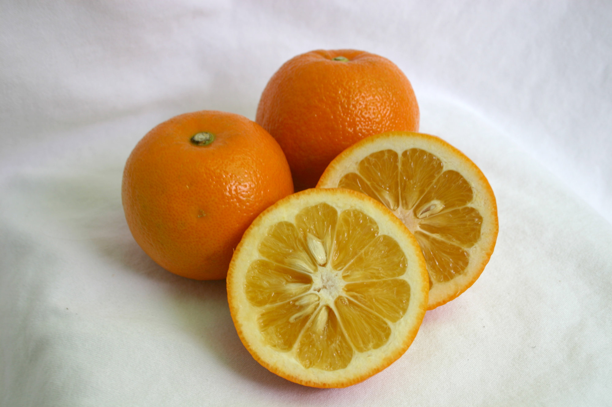 Oranges — Seville (Marmalade type)