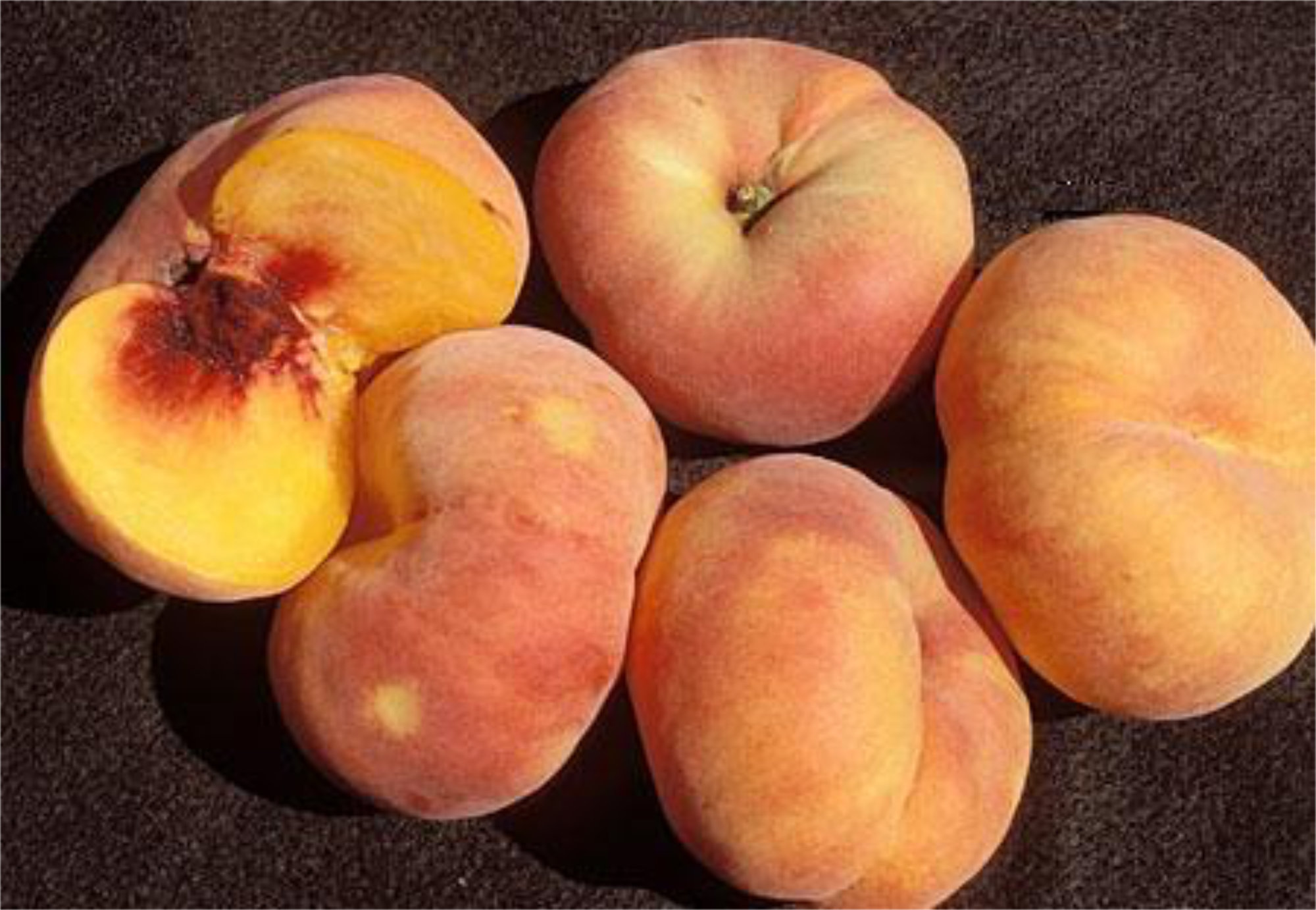 Peaches — Flat Yellow Flesh