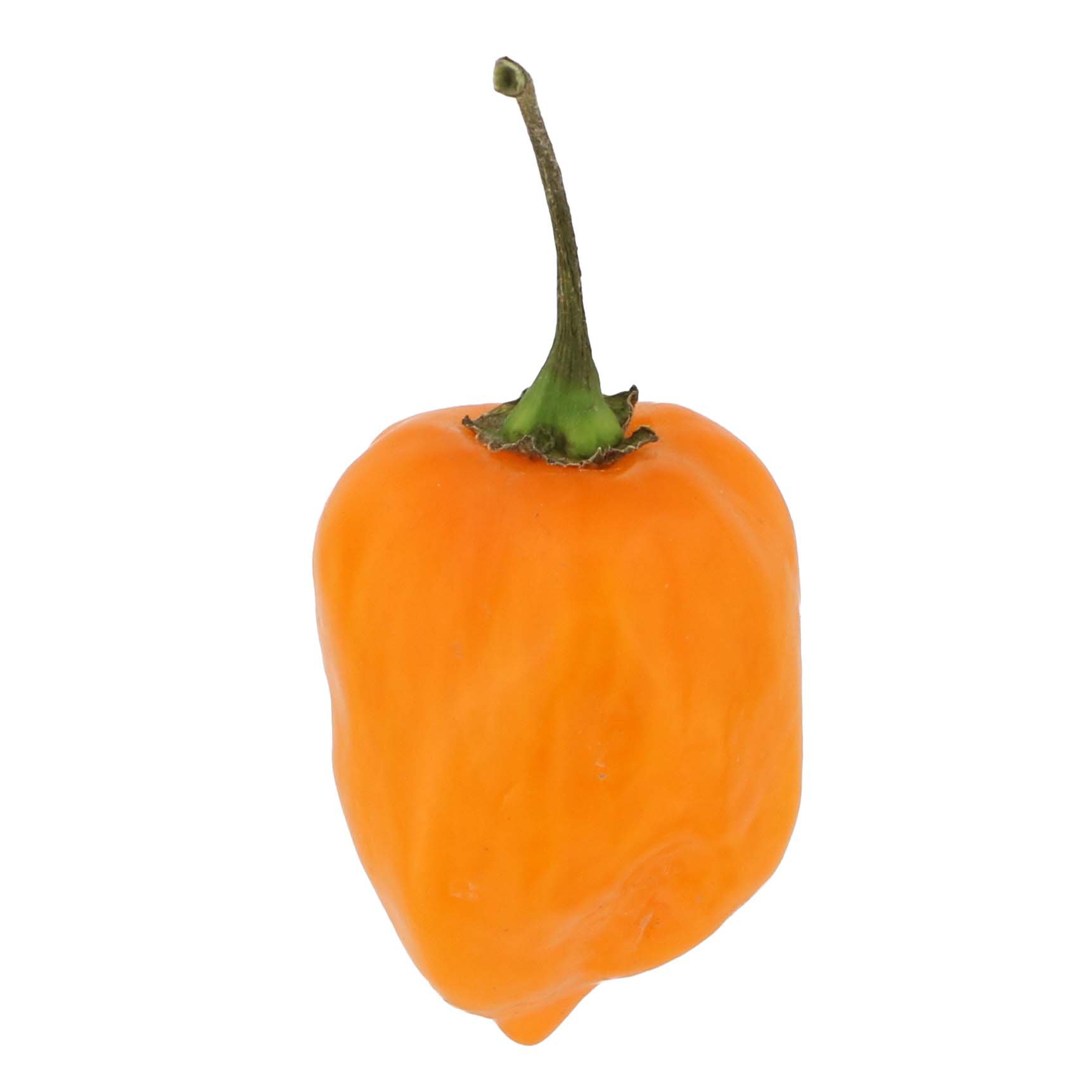 Peppers (Capsicums) — Habanero