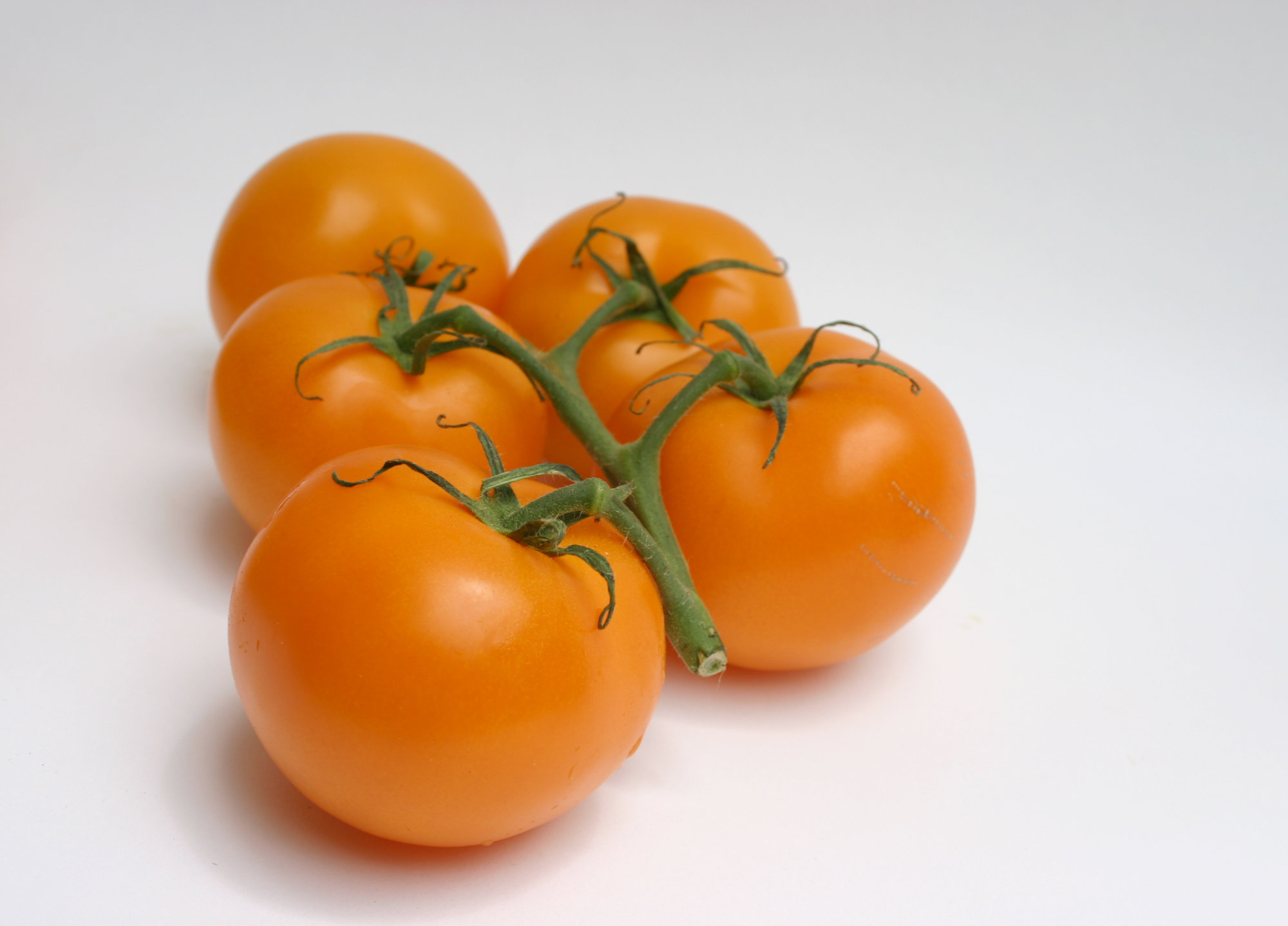 Tomatoes — Regular - Orange, On the Vine