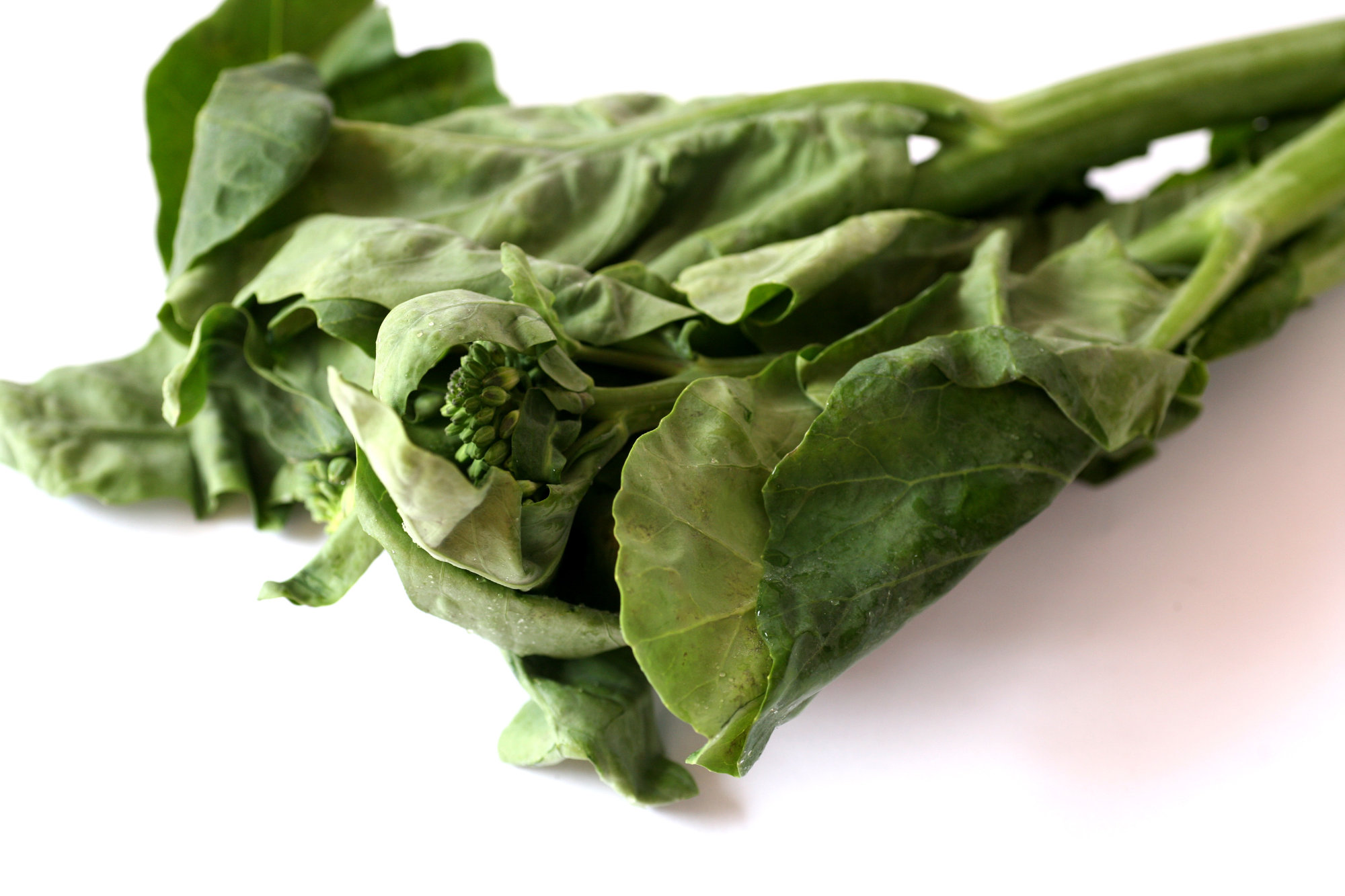 Gai Lan — Synonymous with Chinese Broccoli
