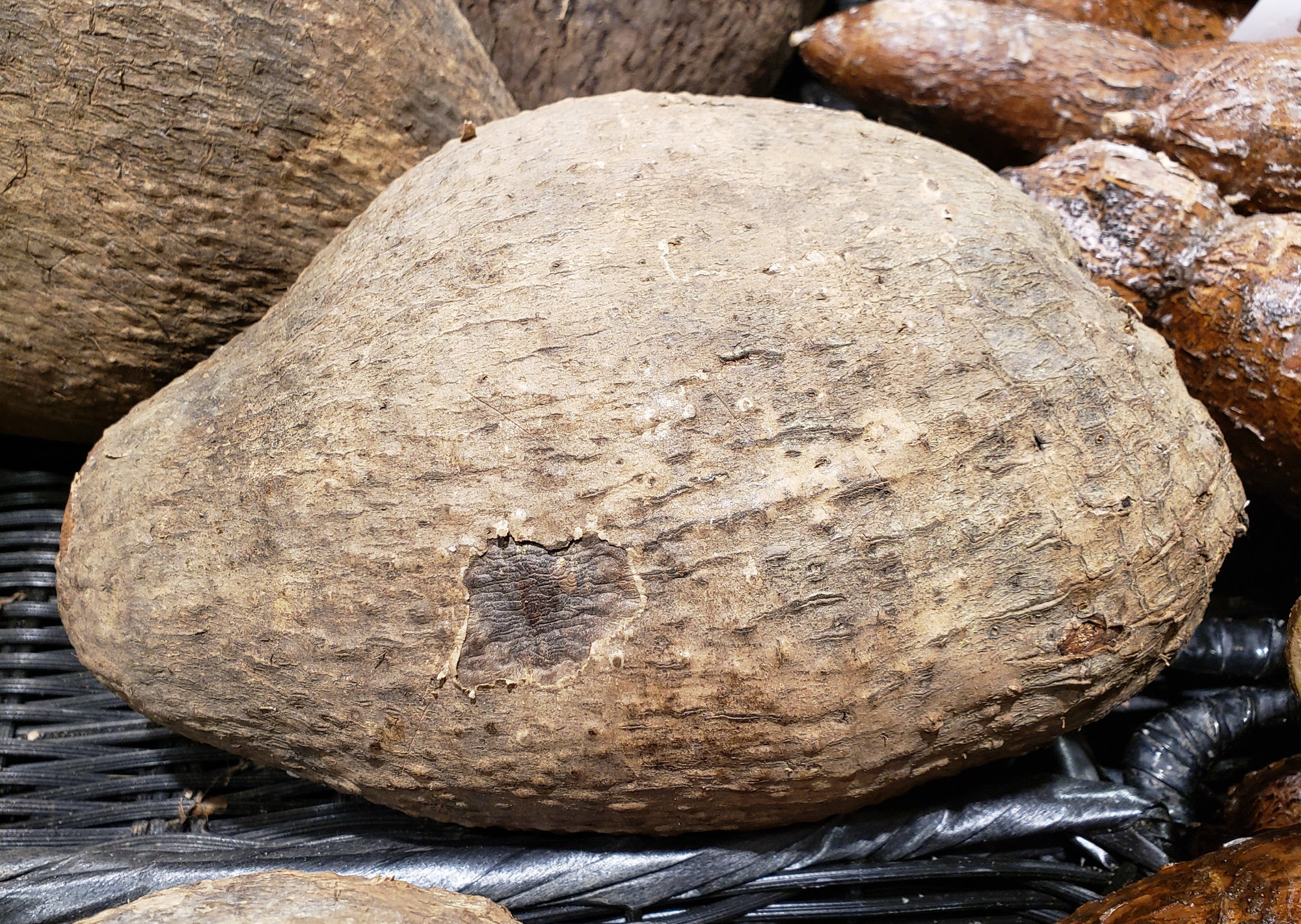 Name — White (nyAH-may)