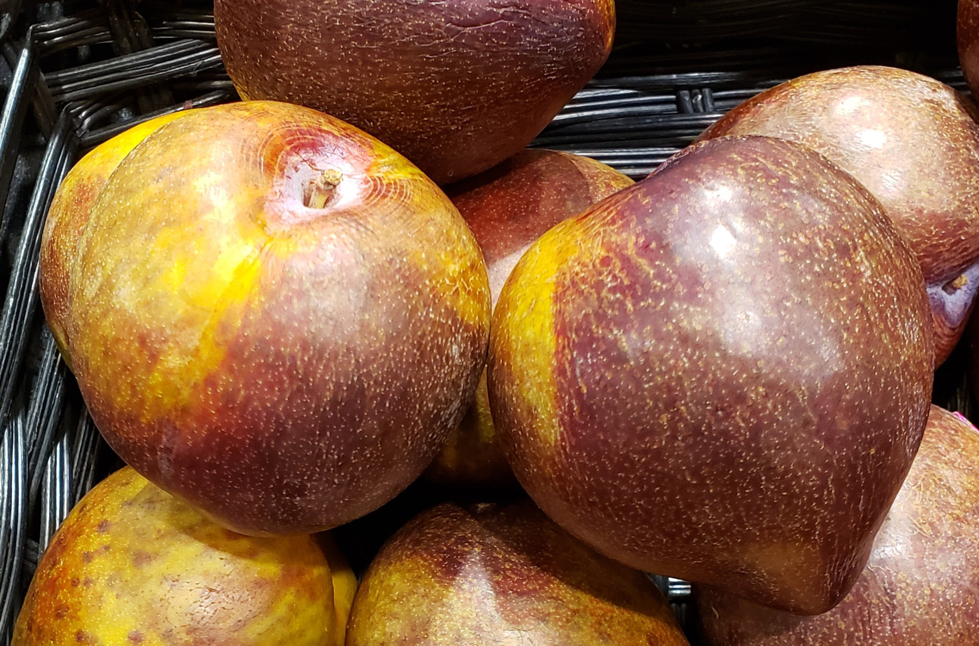 Plumcot (Interspecific Plum)