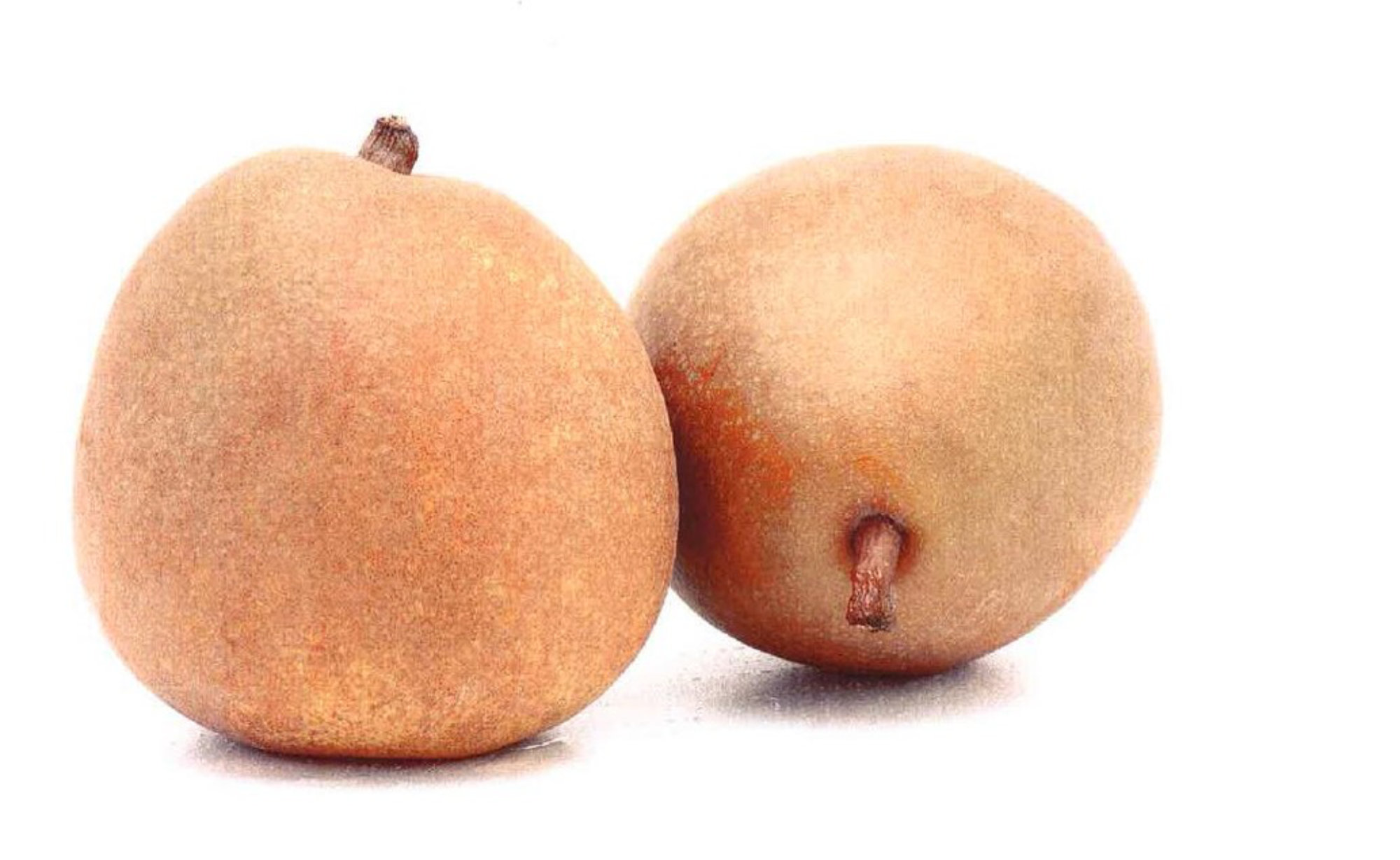 Pears — Angelys