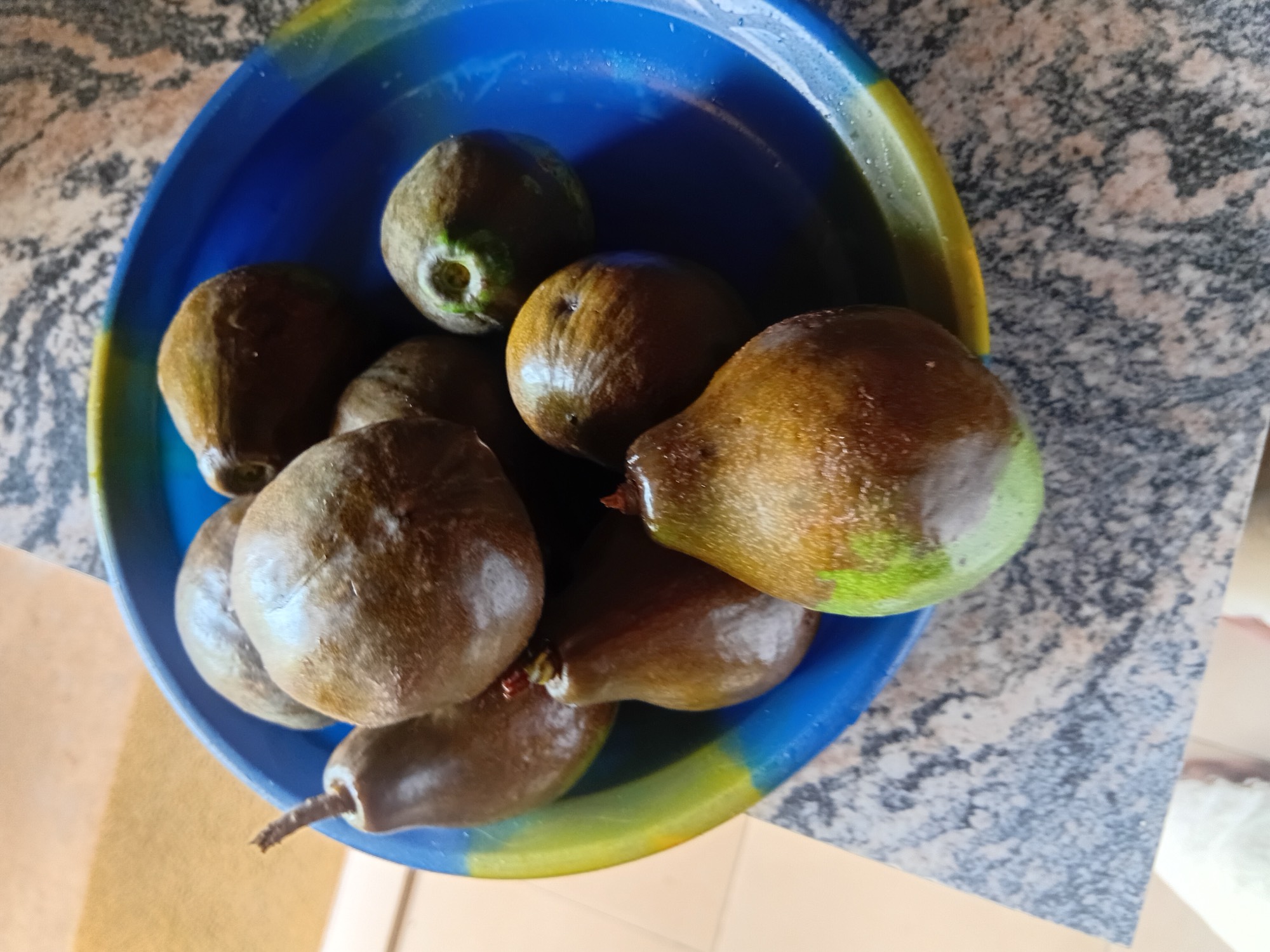 Avocados — Ripe/Ready-to-Eat