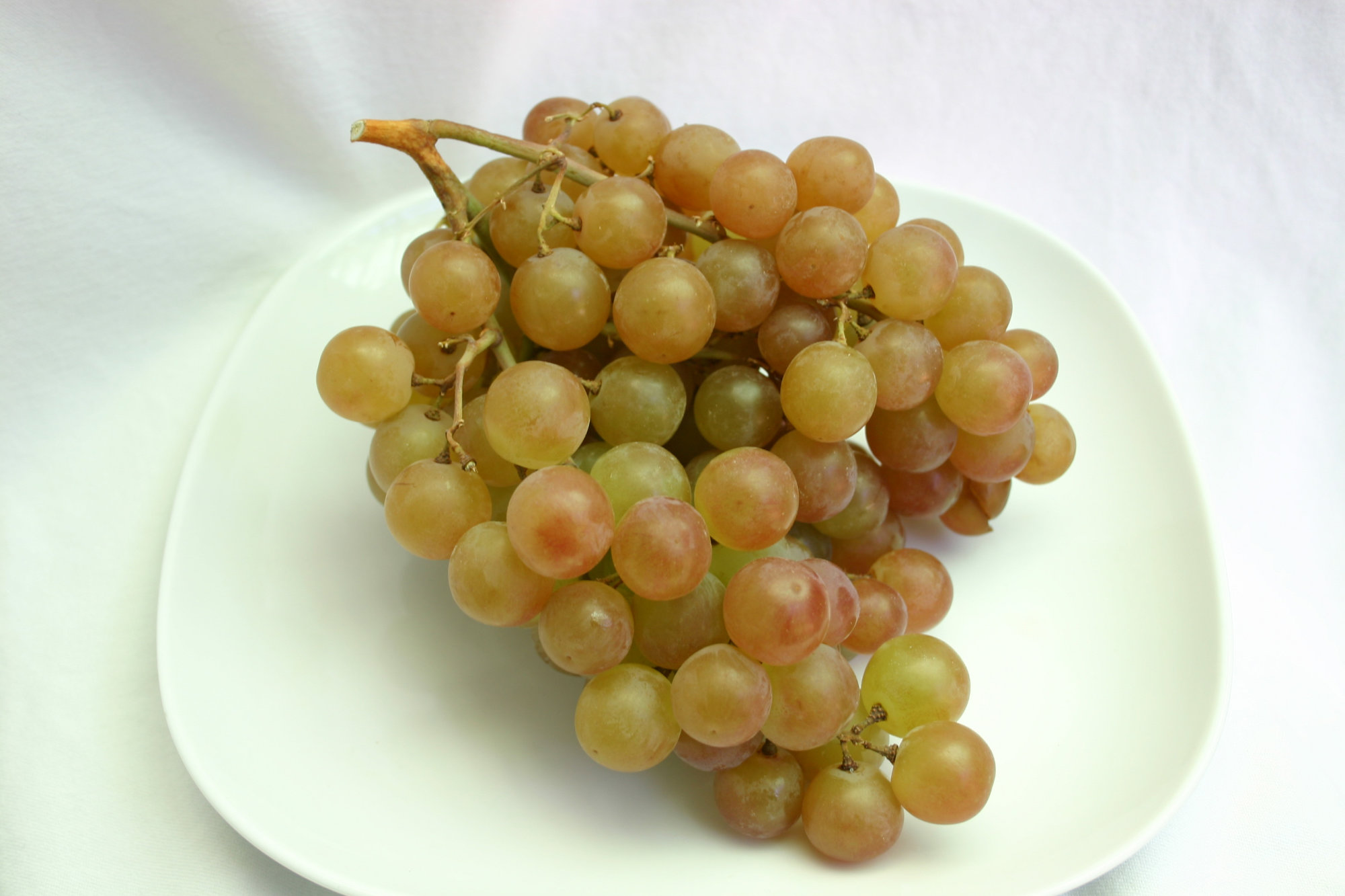 Grapes — Muscat de Hambourg
