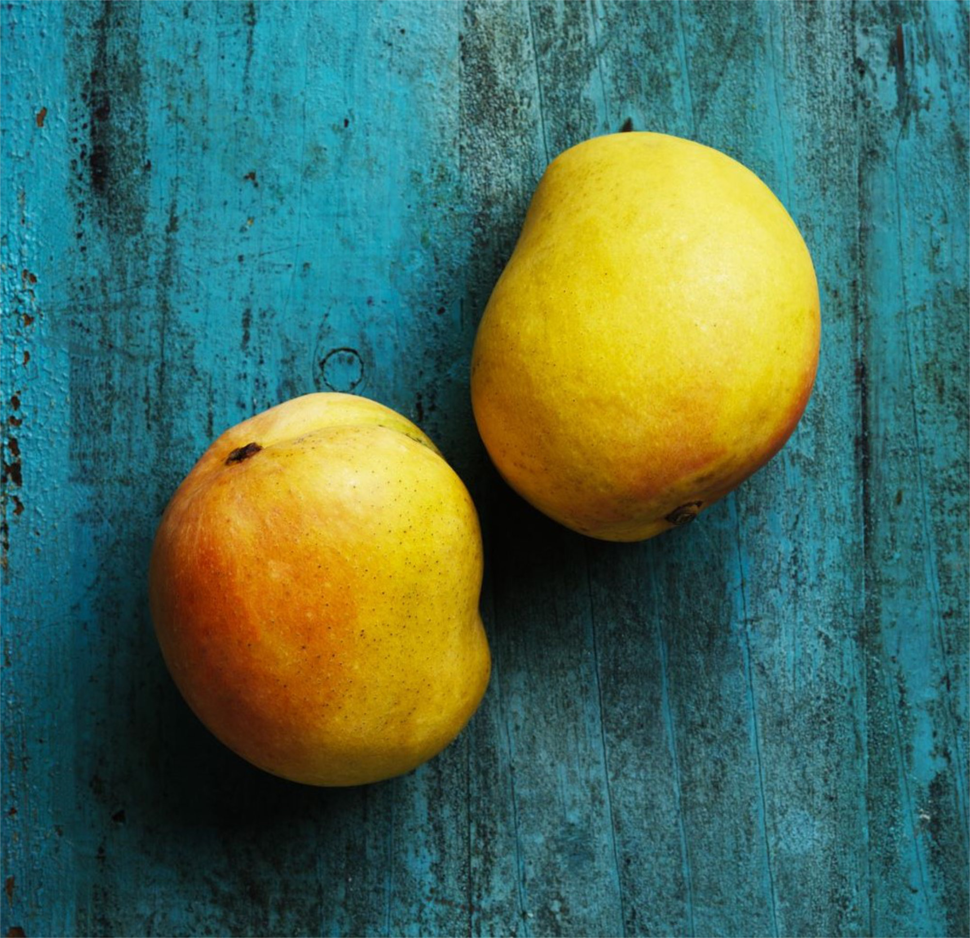 Mango — Kensington Pride