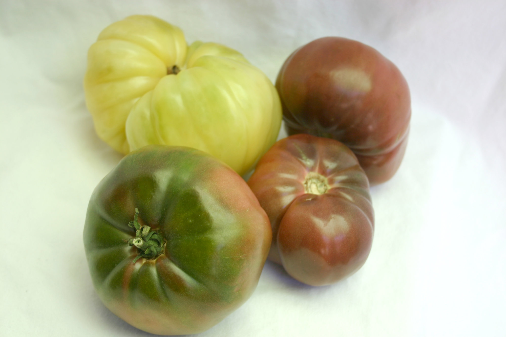 Tomatoes — Heirloom 