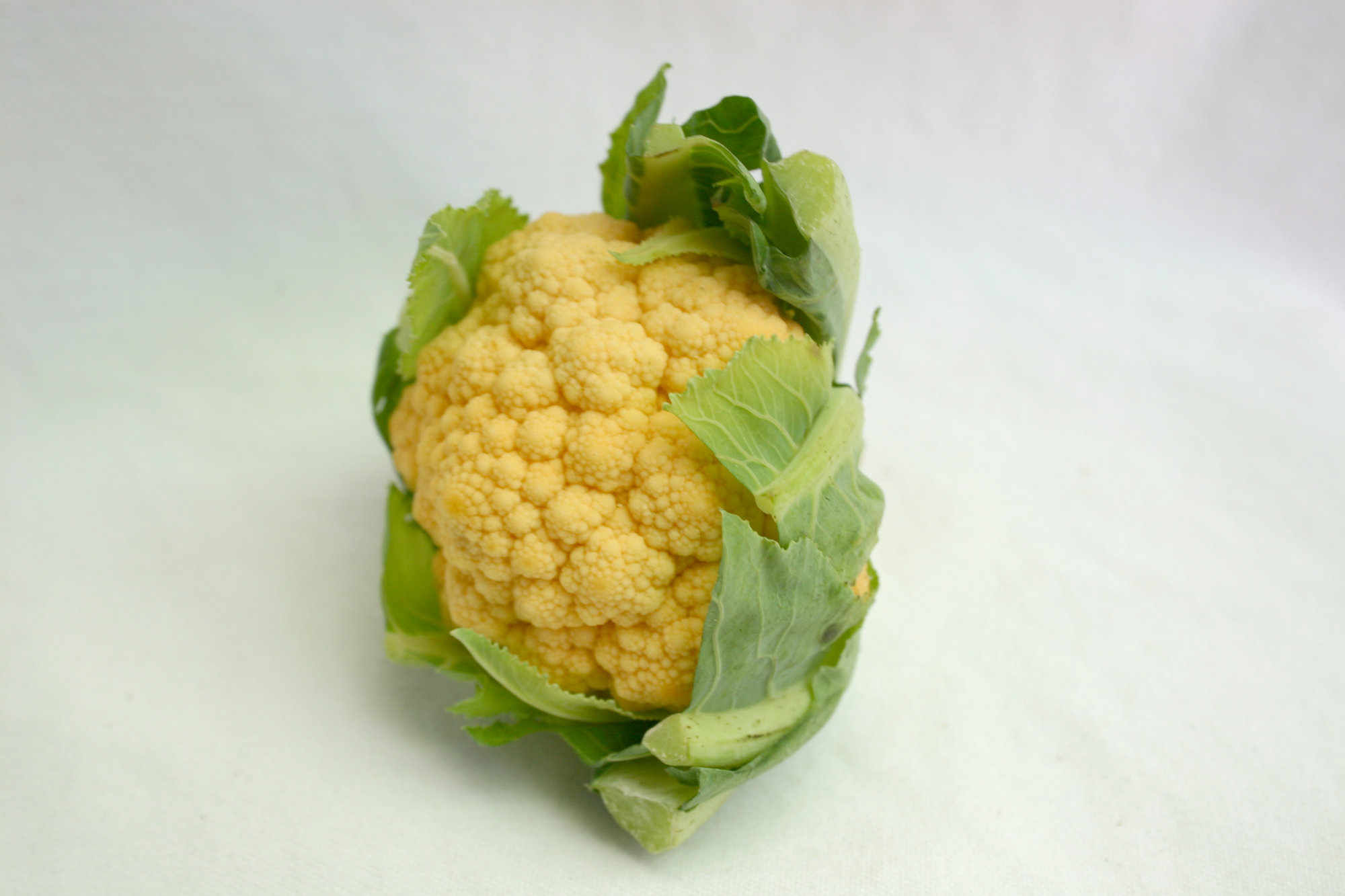 Cauliflower — Orange