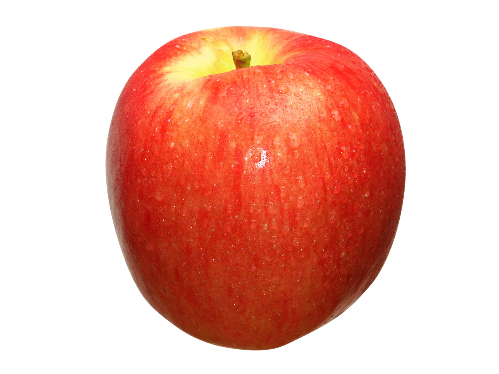 Apples — Ambrosia