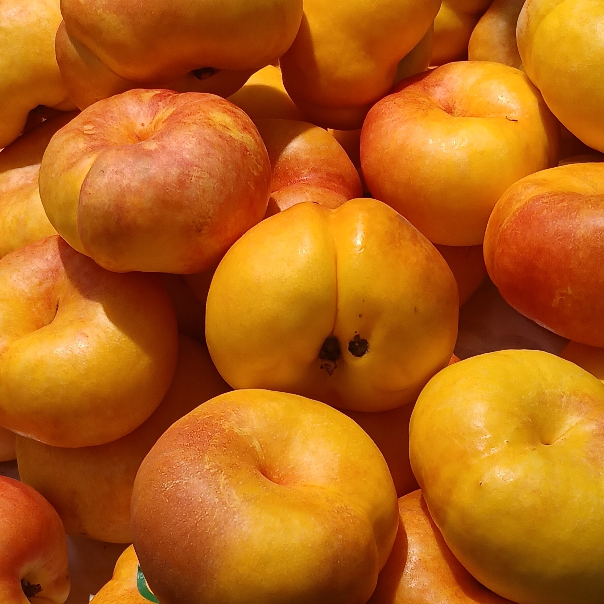 Nectarine — White Flesh Flat