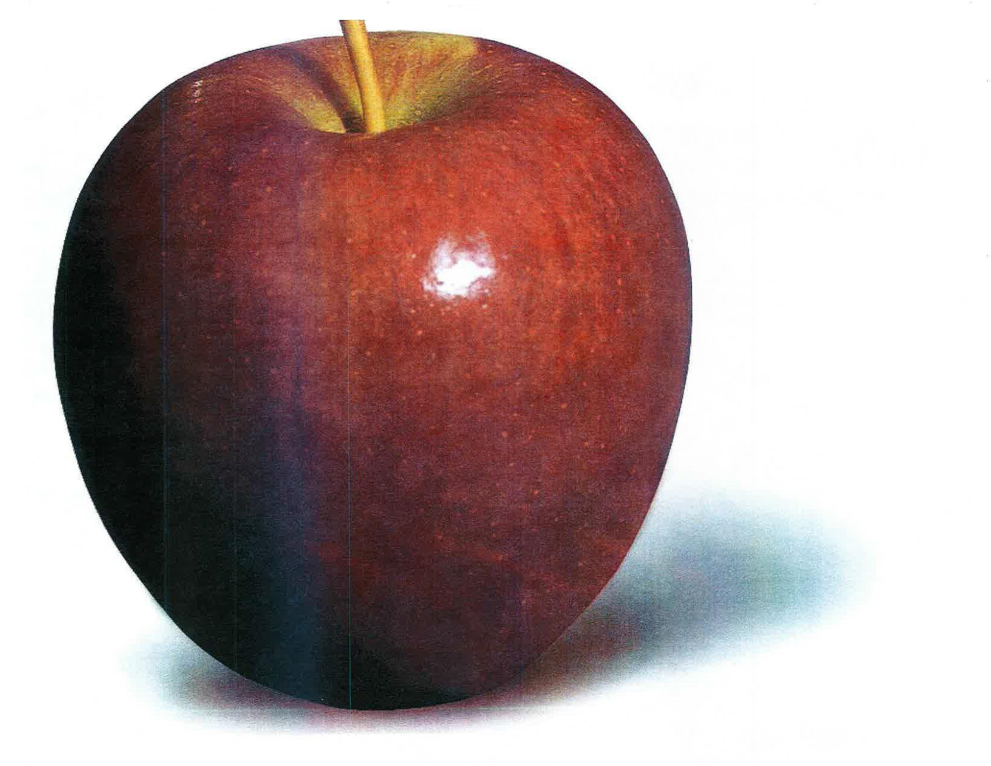 Apples — New York 2