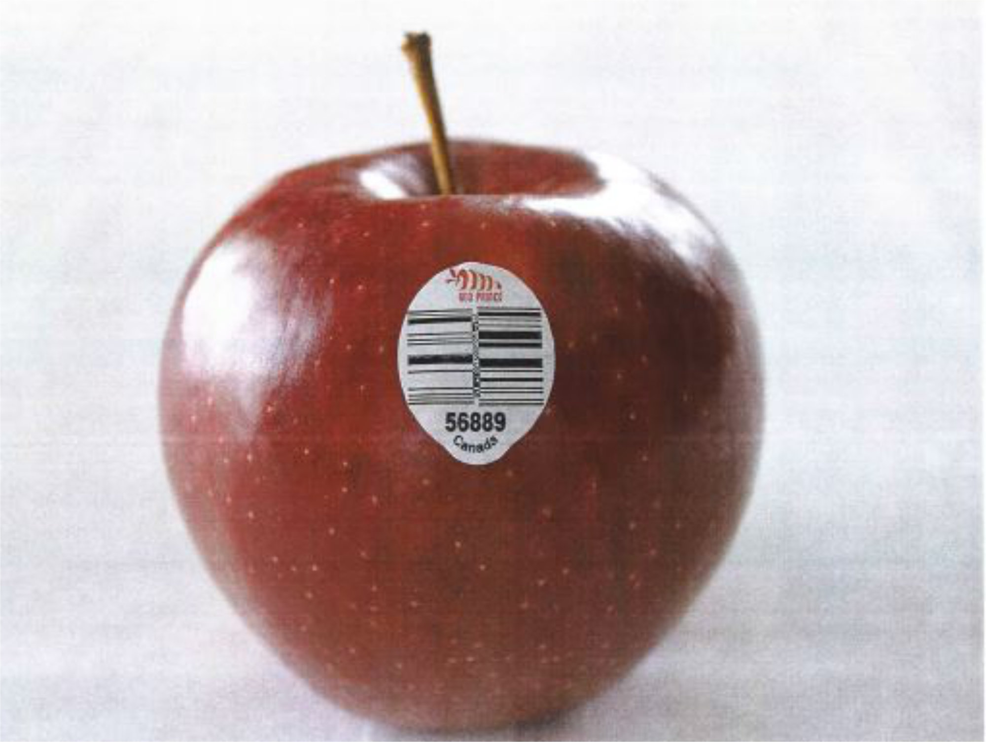 Apples — Red Jonaprince