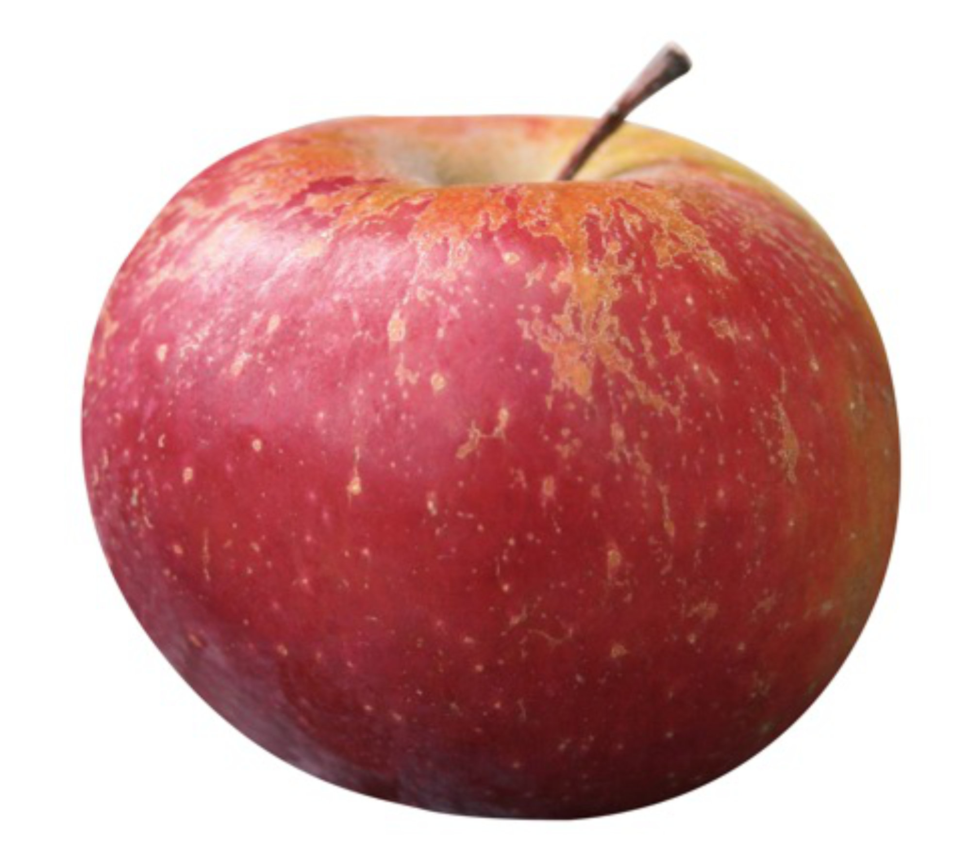 Apples — Dalinette