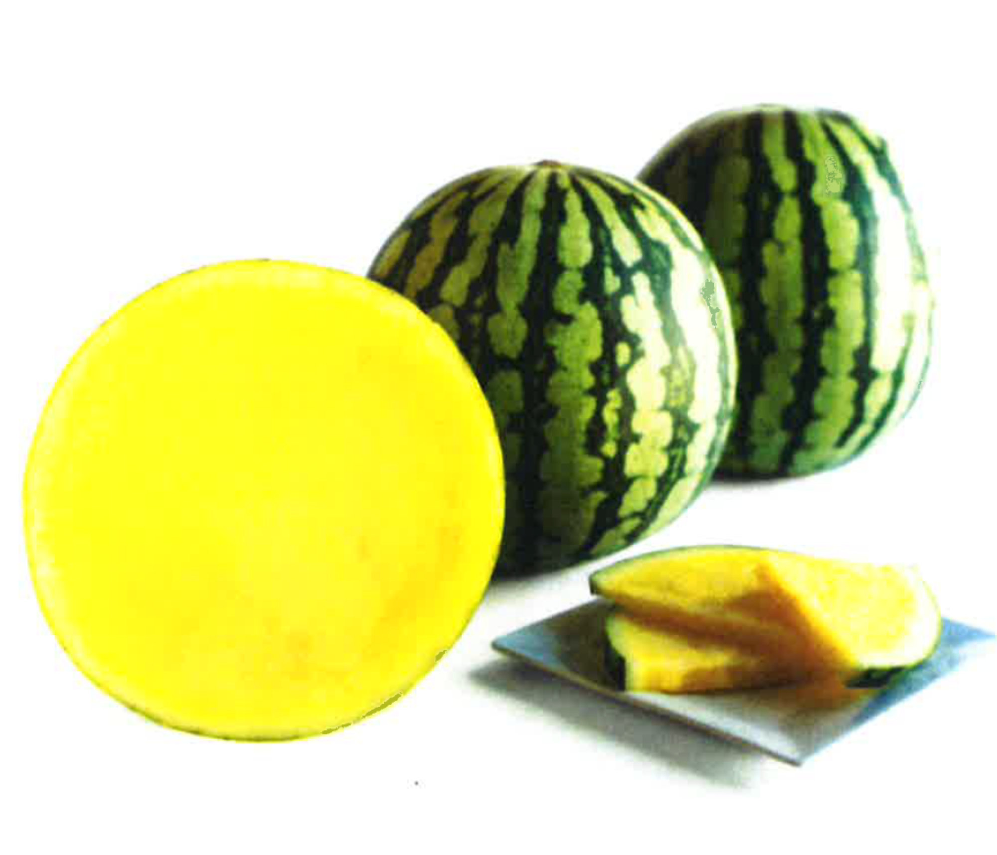 Melon — Watermelon - Yellow Mini Seedless