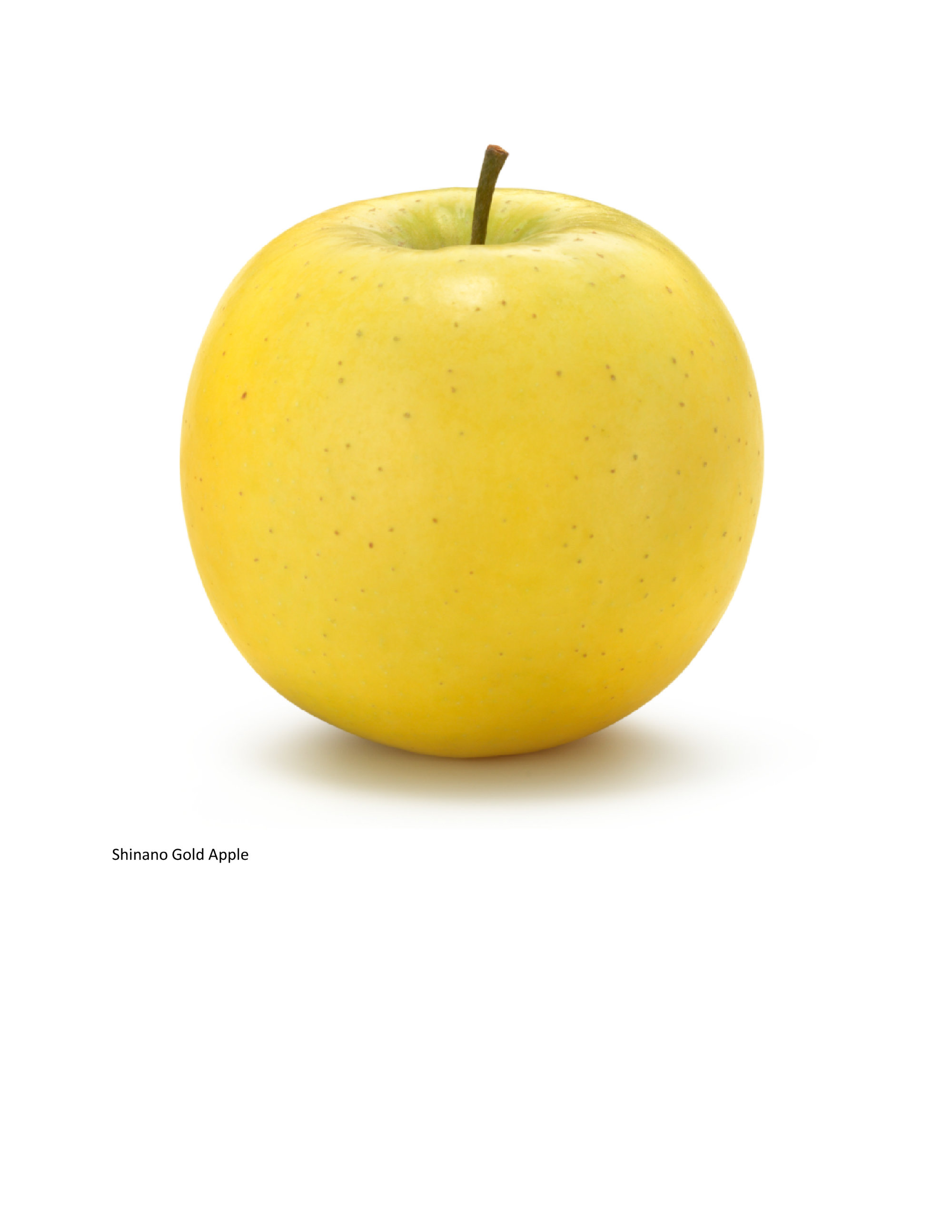 Apples — Shinano Gold