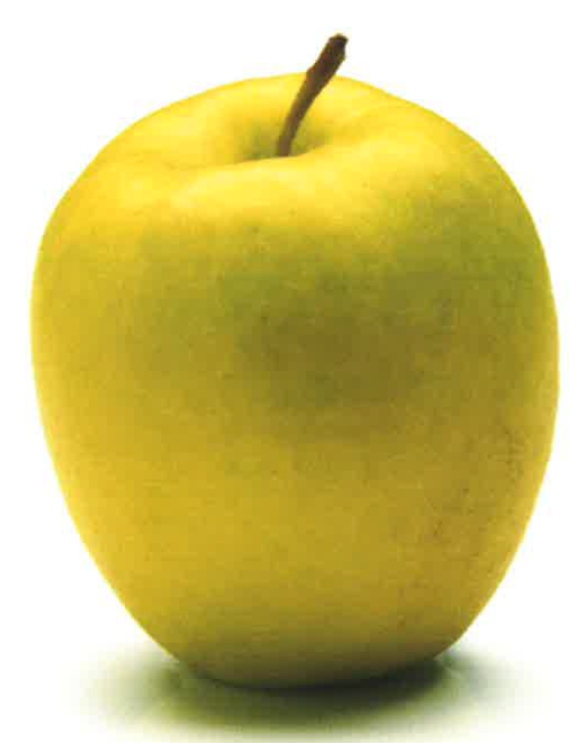 Apples — PremA 153