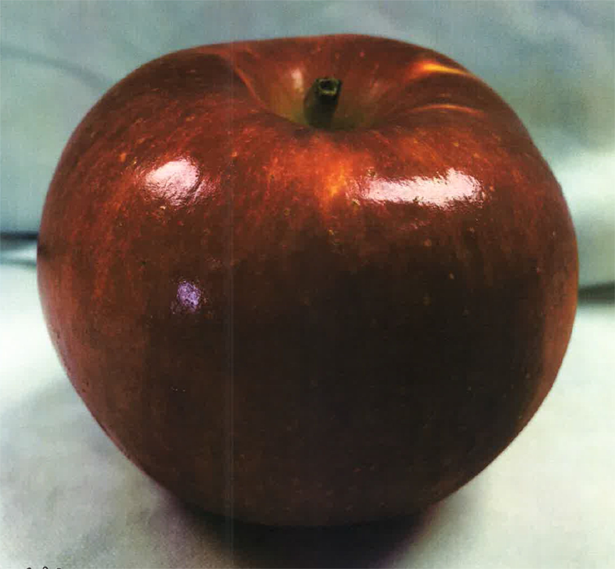 Apples — R10-45