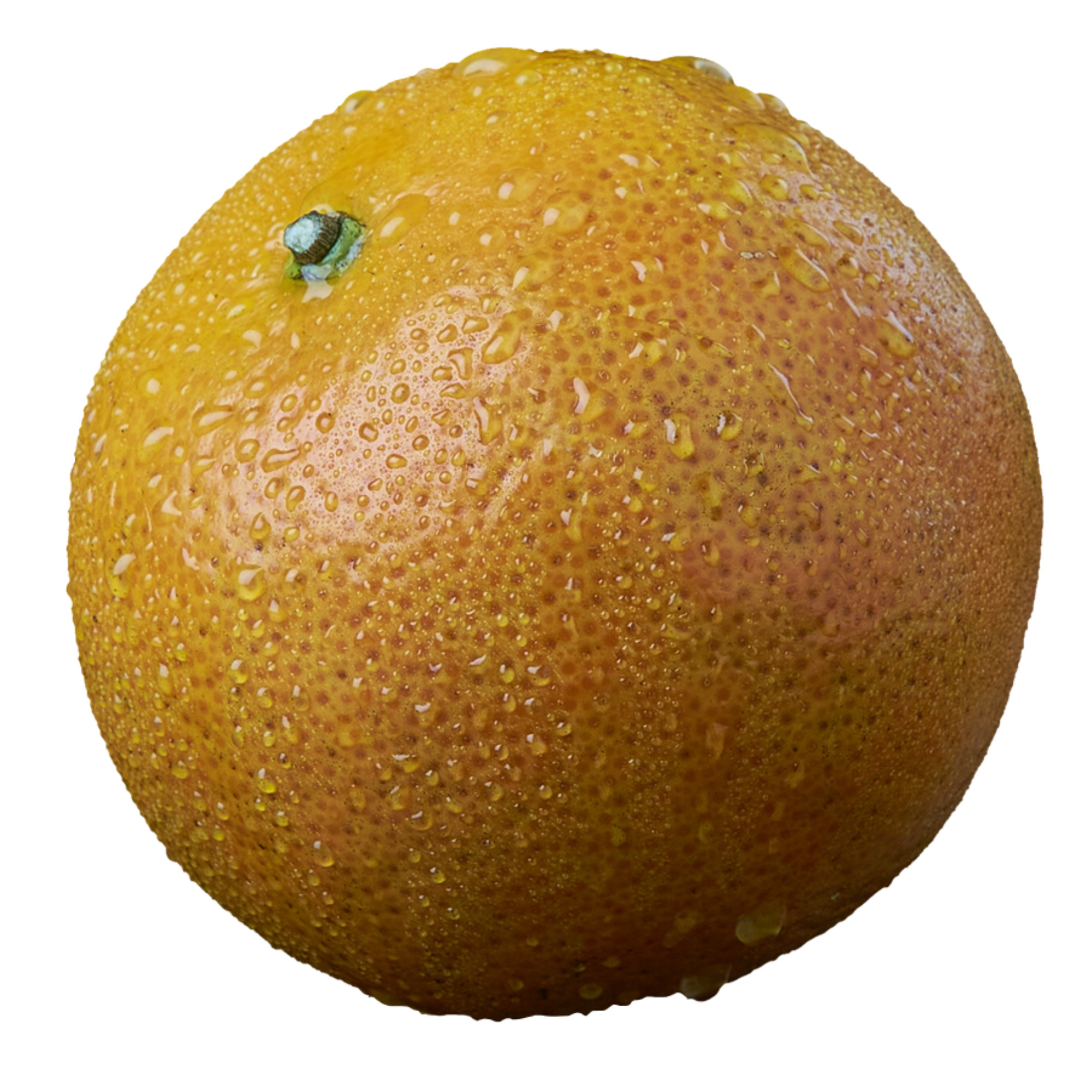 Tangerines/mandarins — C37