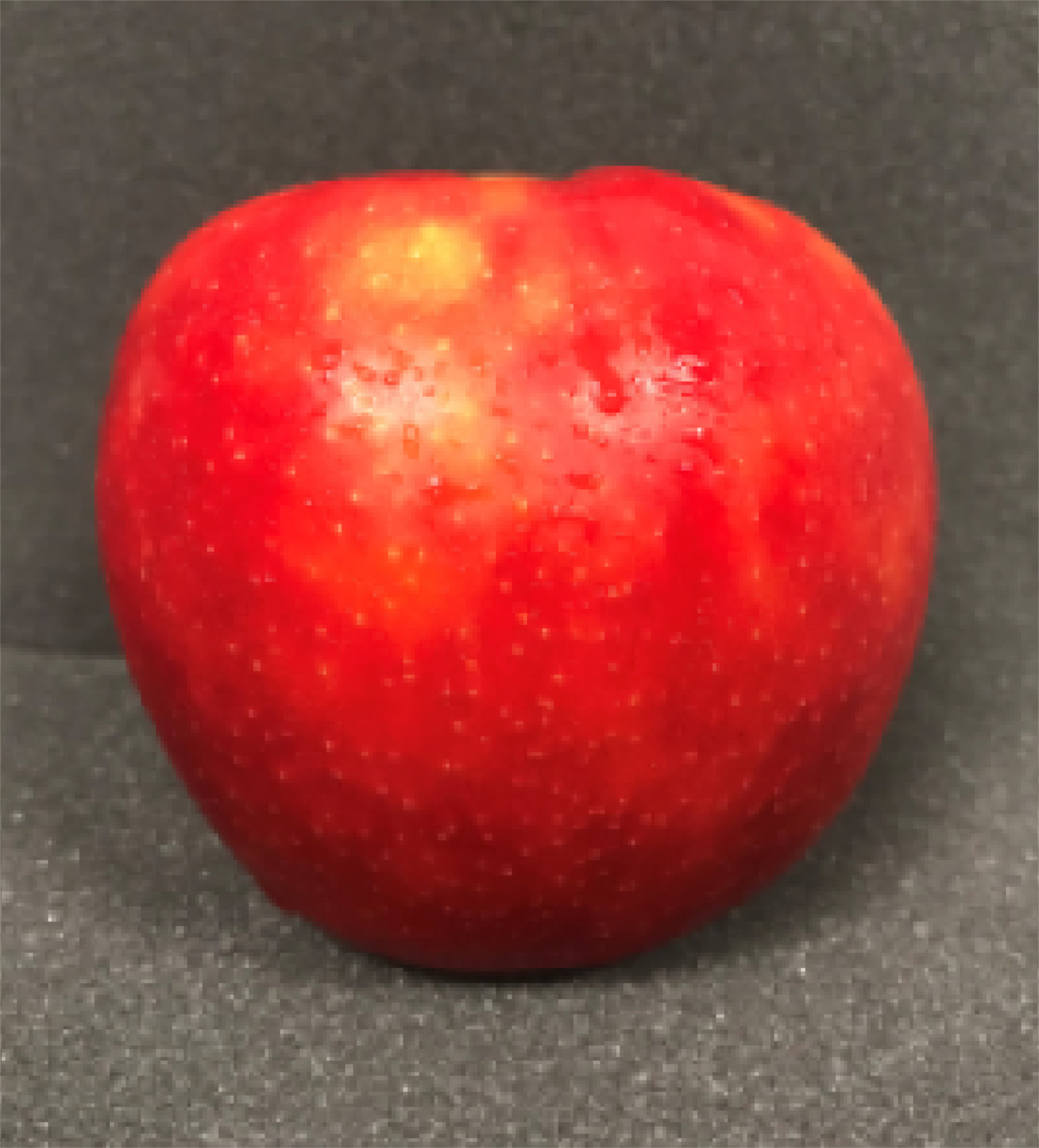 Apples — Regal D17-121