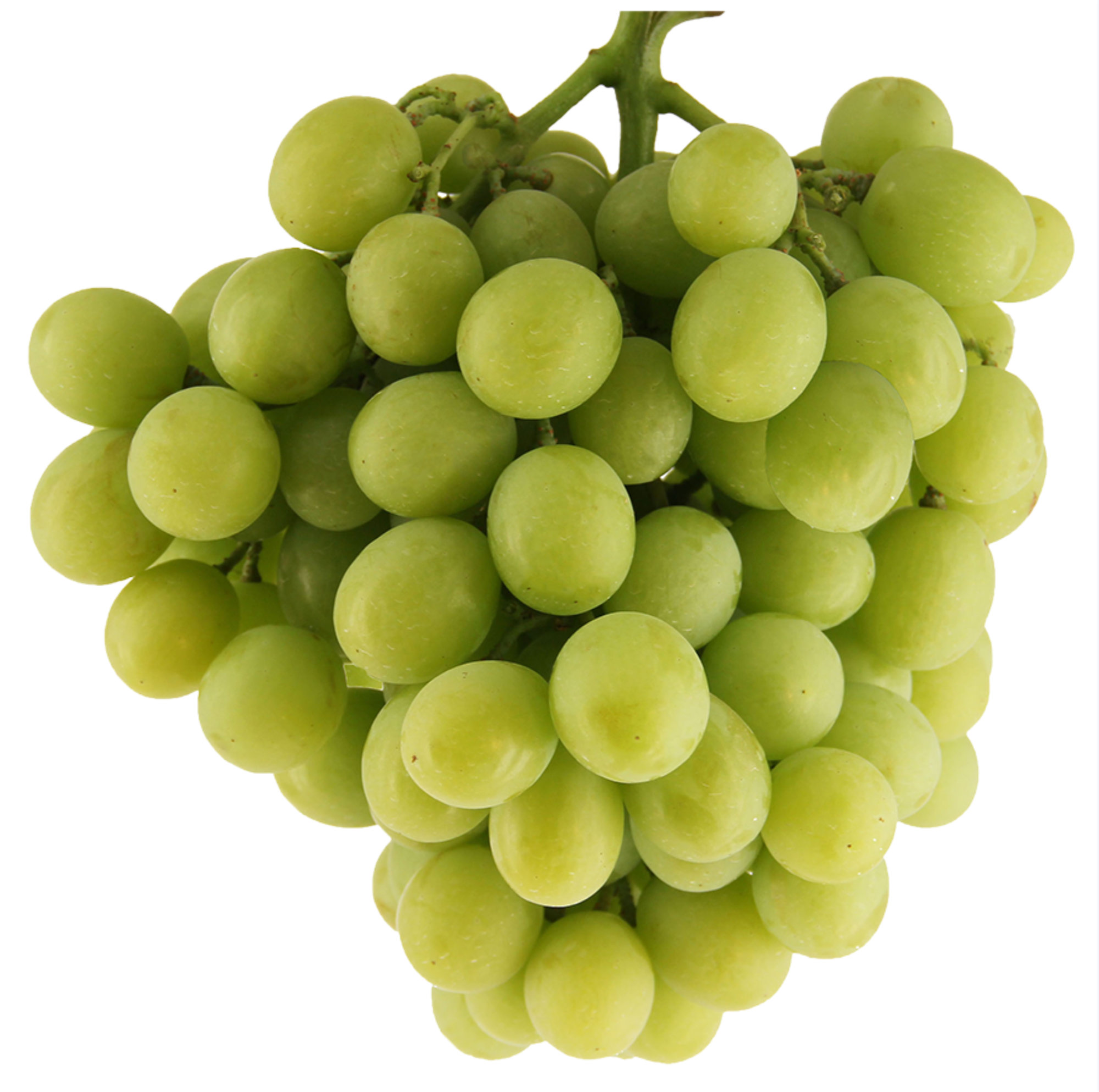 Grapes — Sugra Family Novelty Seedless