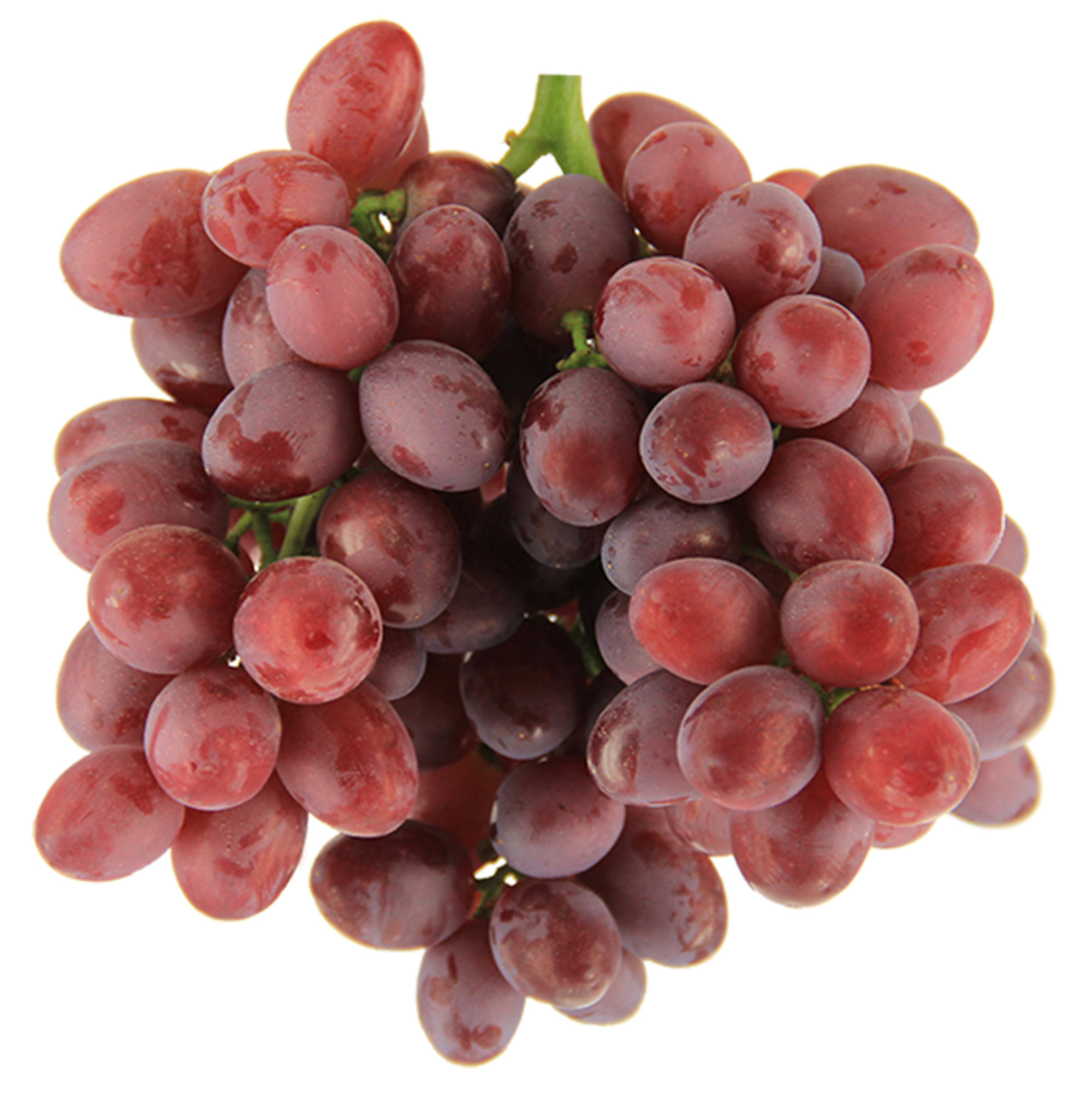 Grapes — Sugra Family Red Seedless