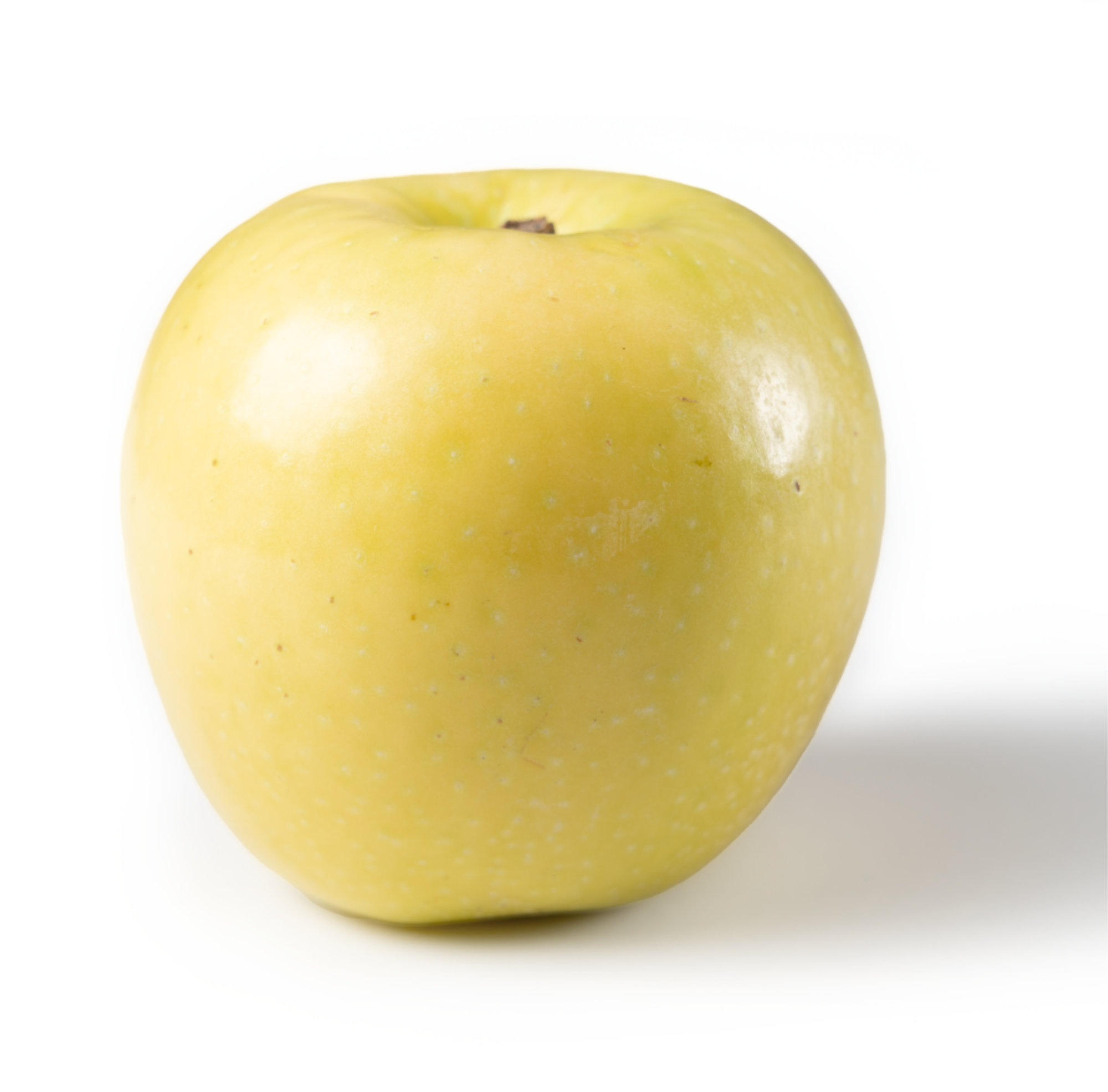 Apples — Regal D27-16