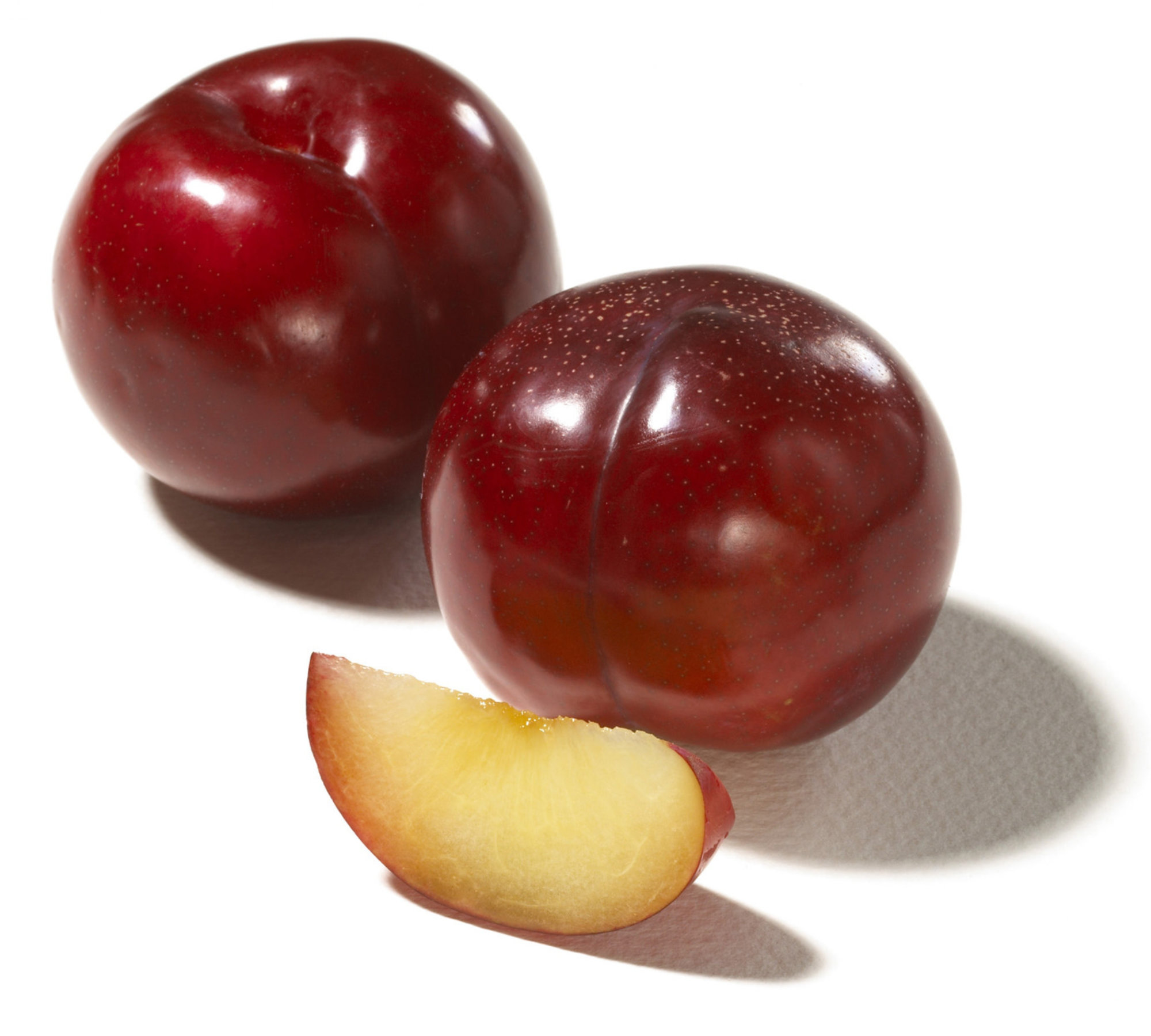 Plumcot (Interspecific Plum) — Red