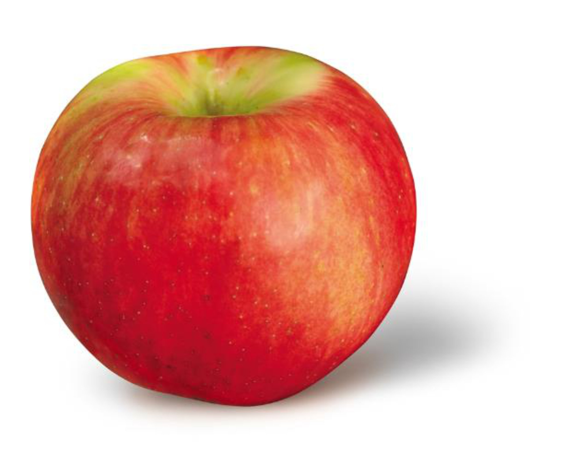 Apples — Minnewashta