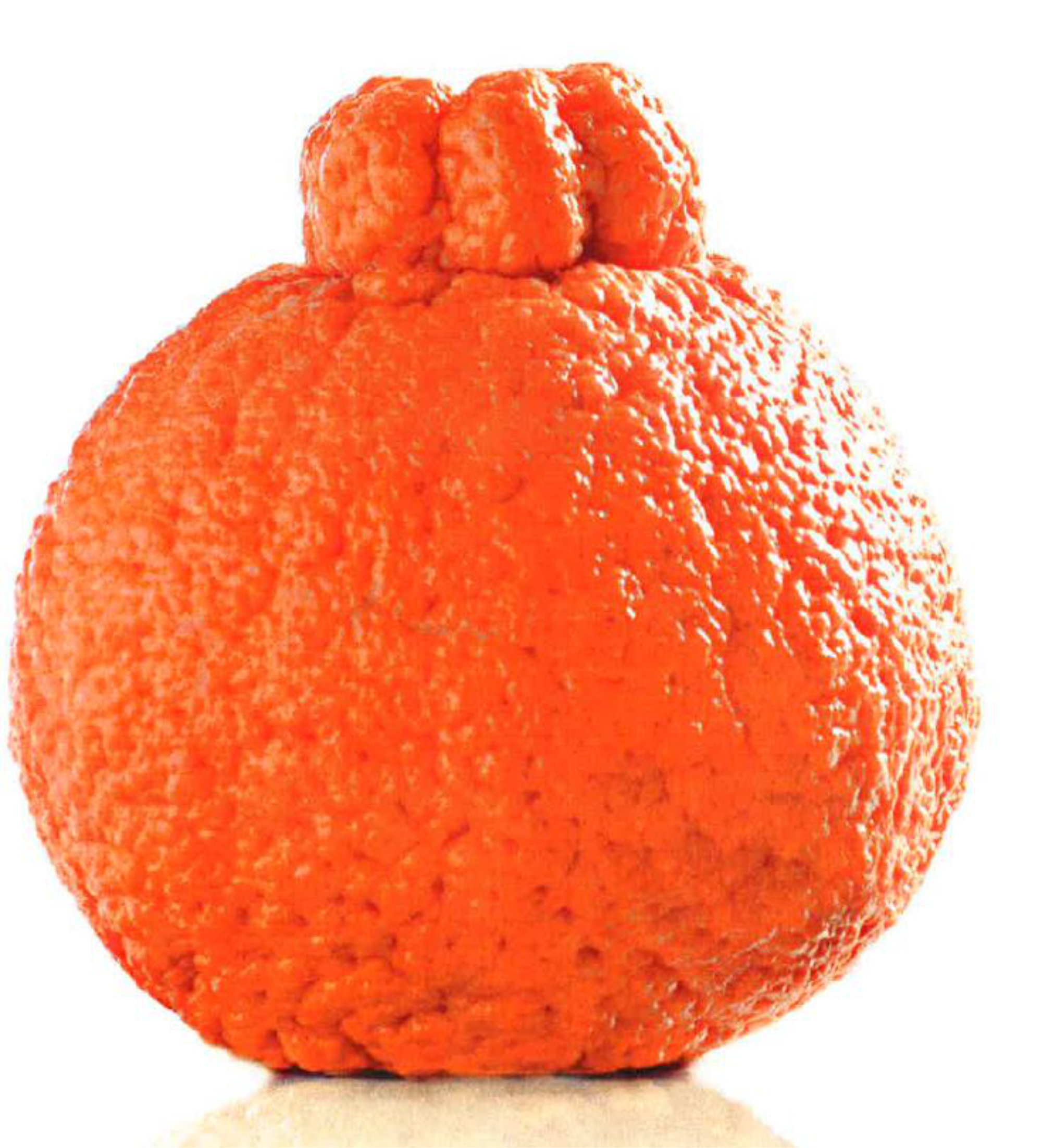 Tangerines/mandarins — Dekopon