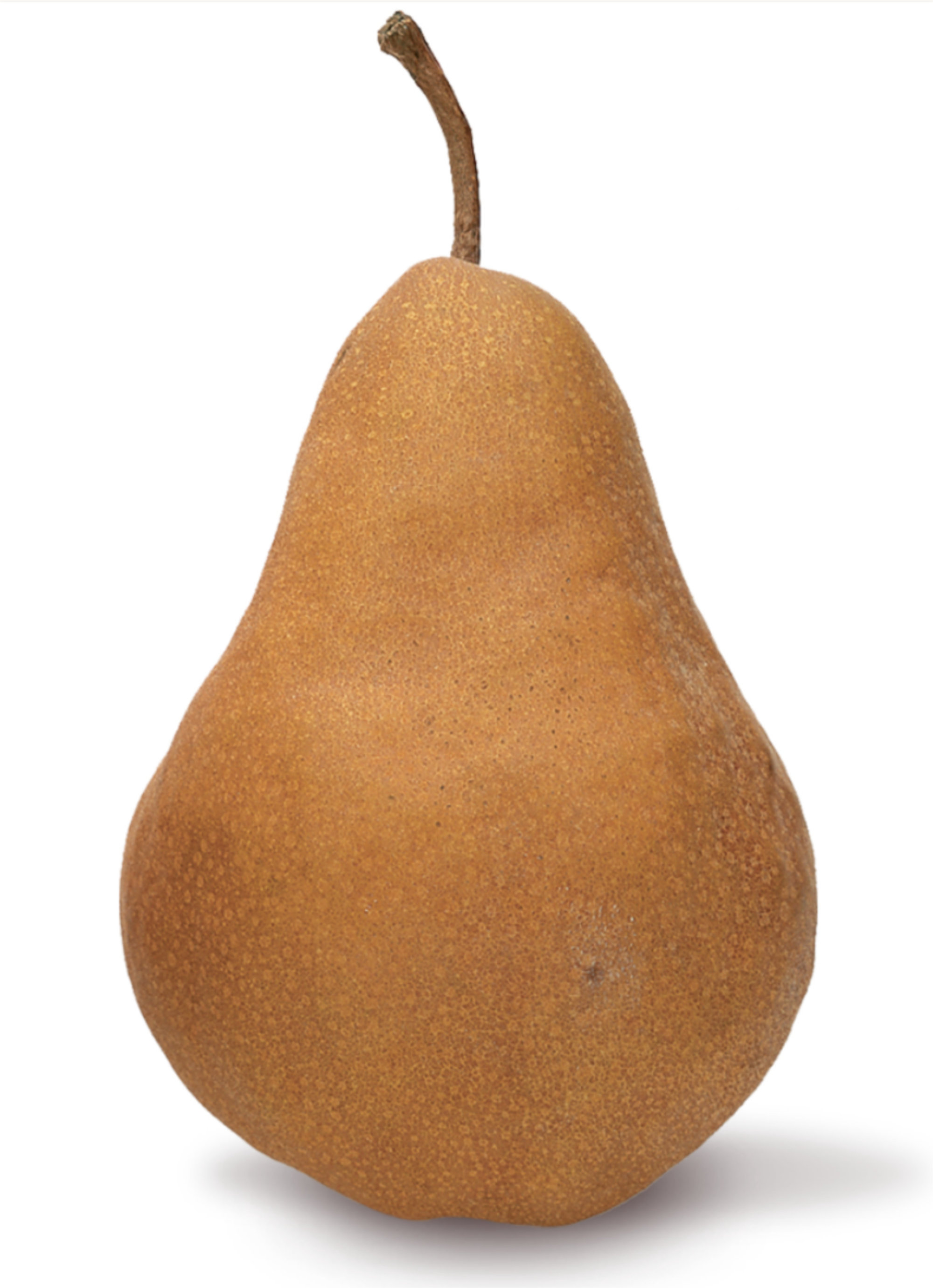 Pears — Bosc/Beurre Bosc