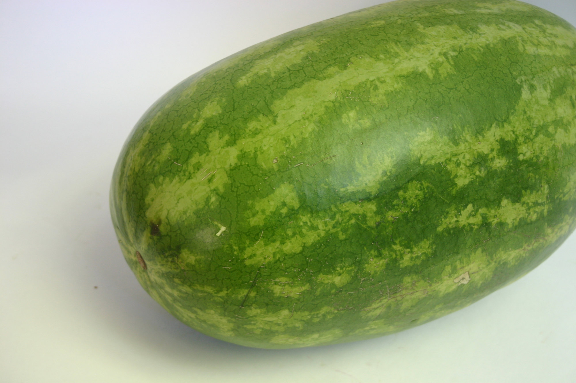 Melon — Watermelon - Red   