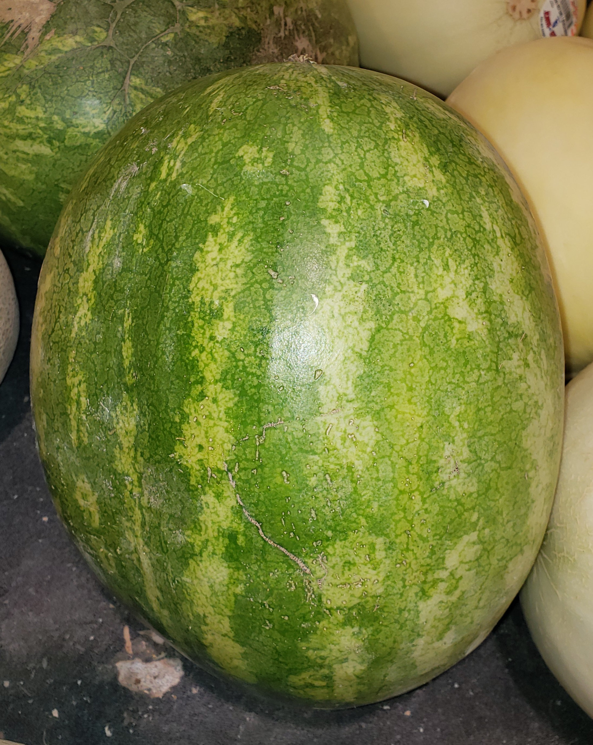 Melon — Watermelon - Red, Seedless