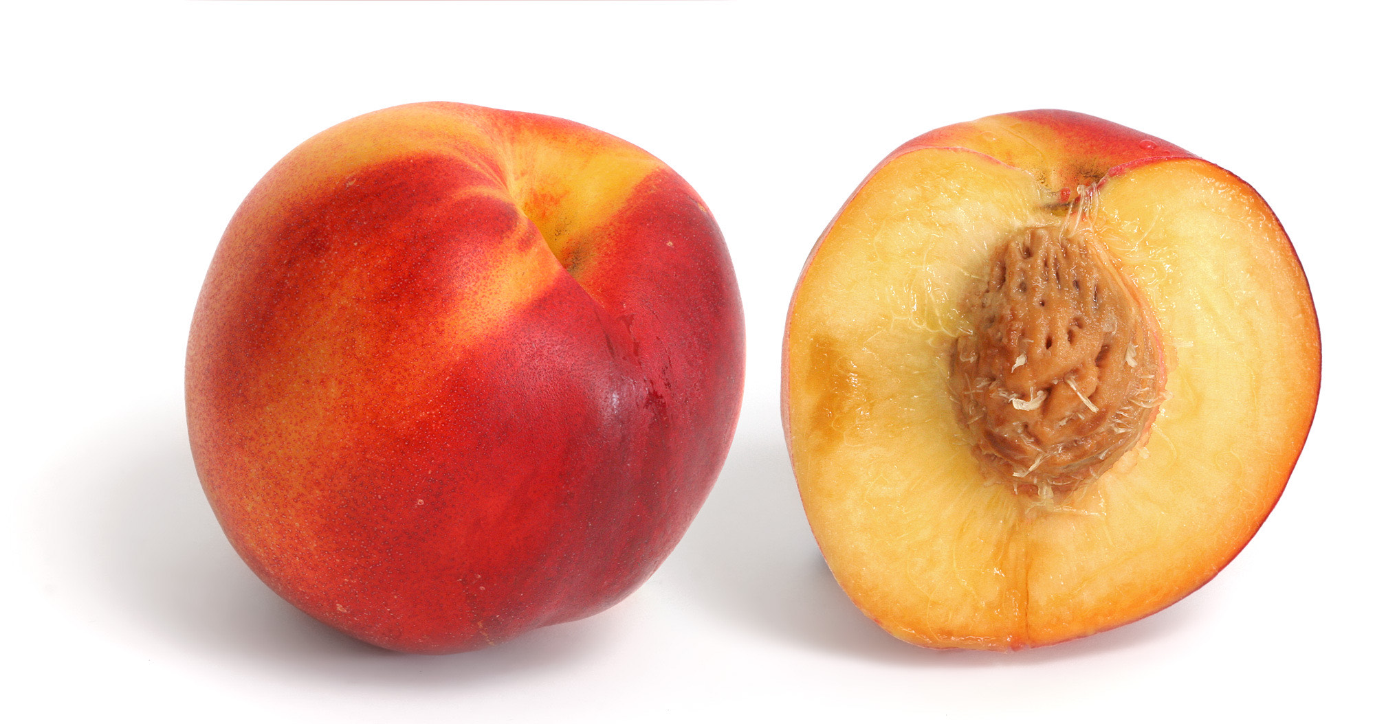 Nectarine — Yellow Flesh