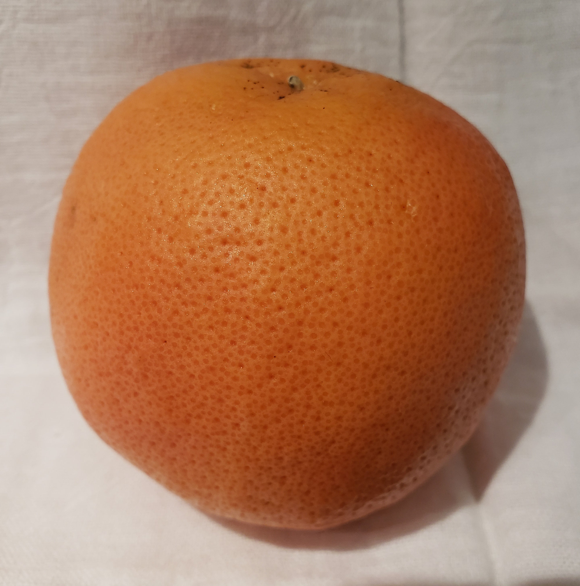 Grapefruit — Ruby/Red/Pink (Includes Ray Ruby, Ruby, Ruby Red)