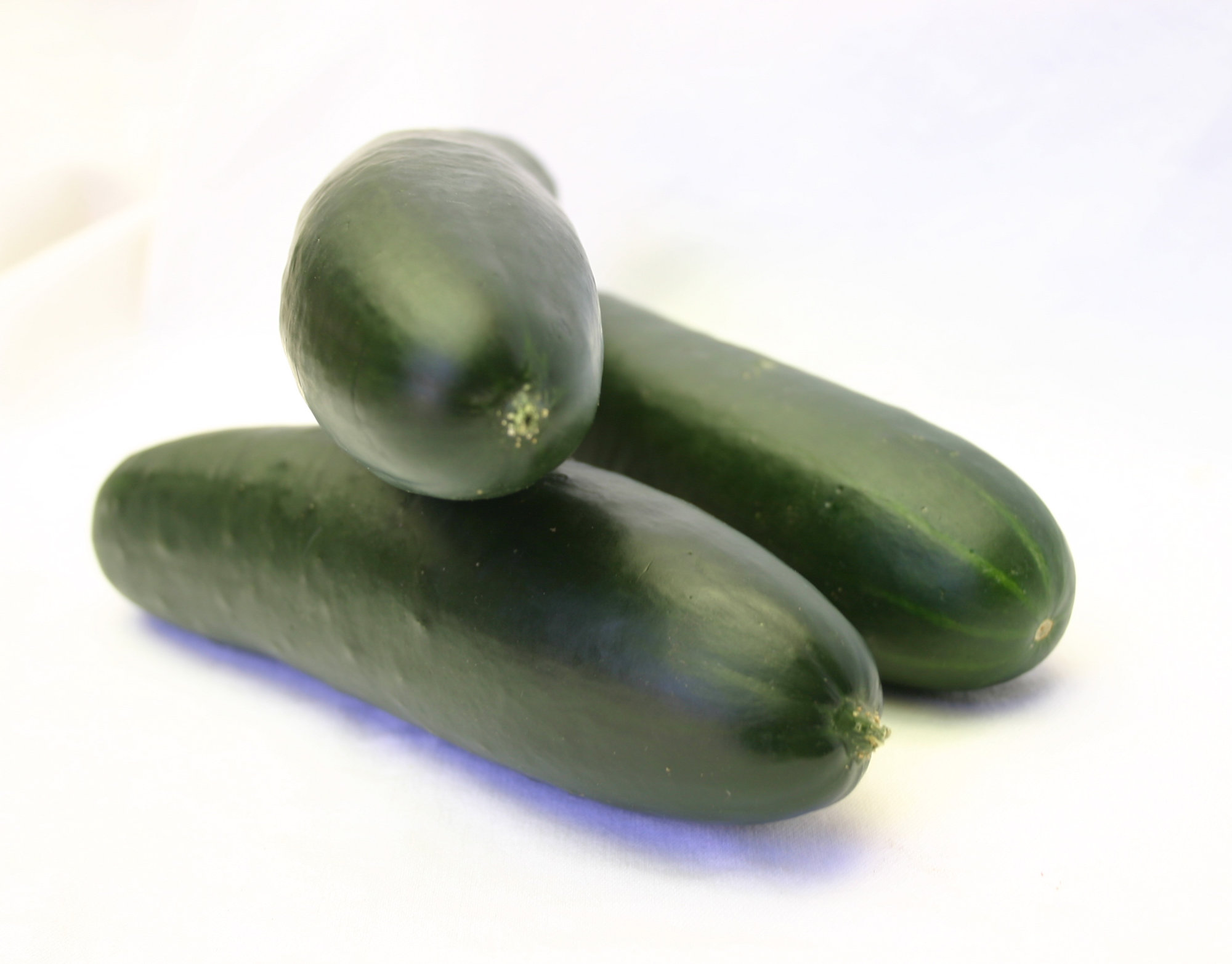 Cucumber — Green/Ridge/Short