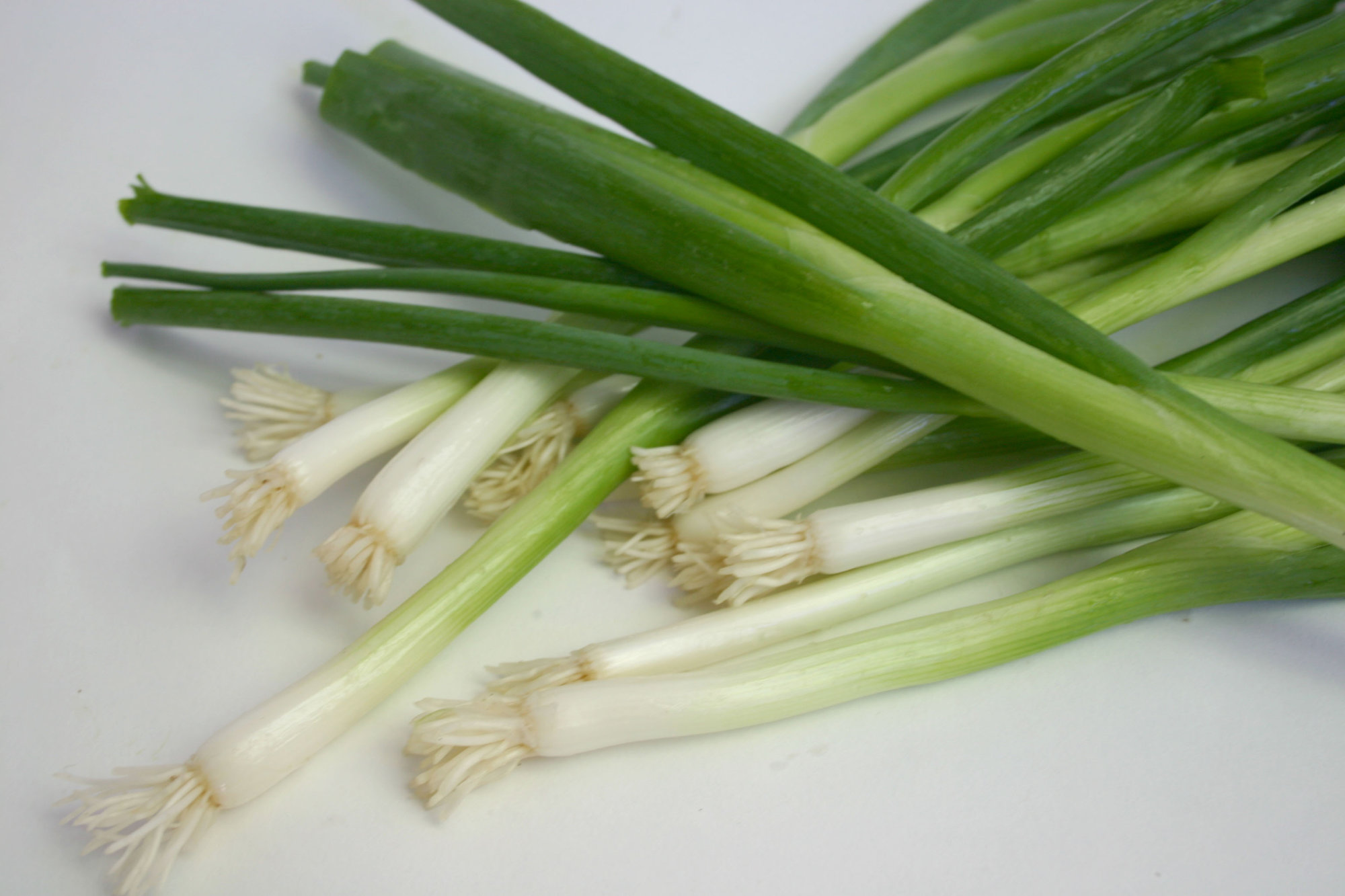 Onions — Green (Scallions)/Spring