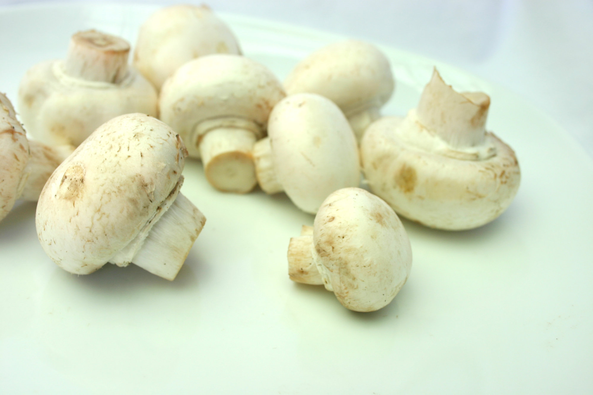 Mushrooms — Regular