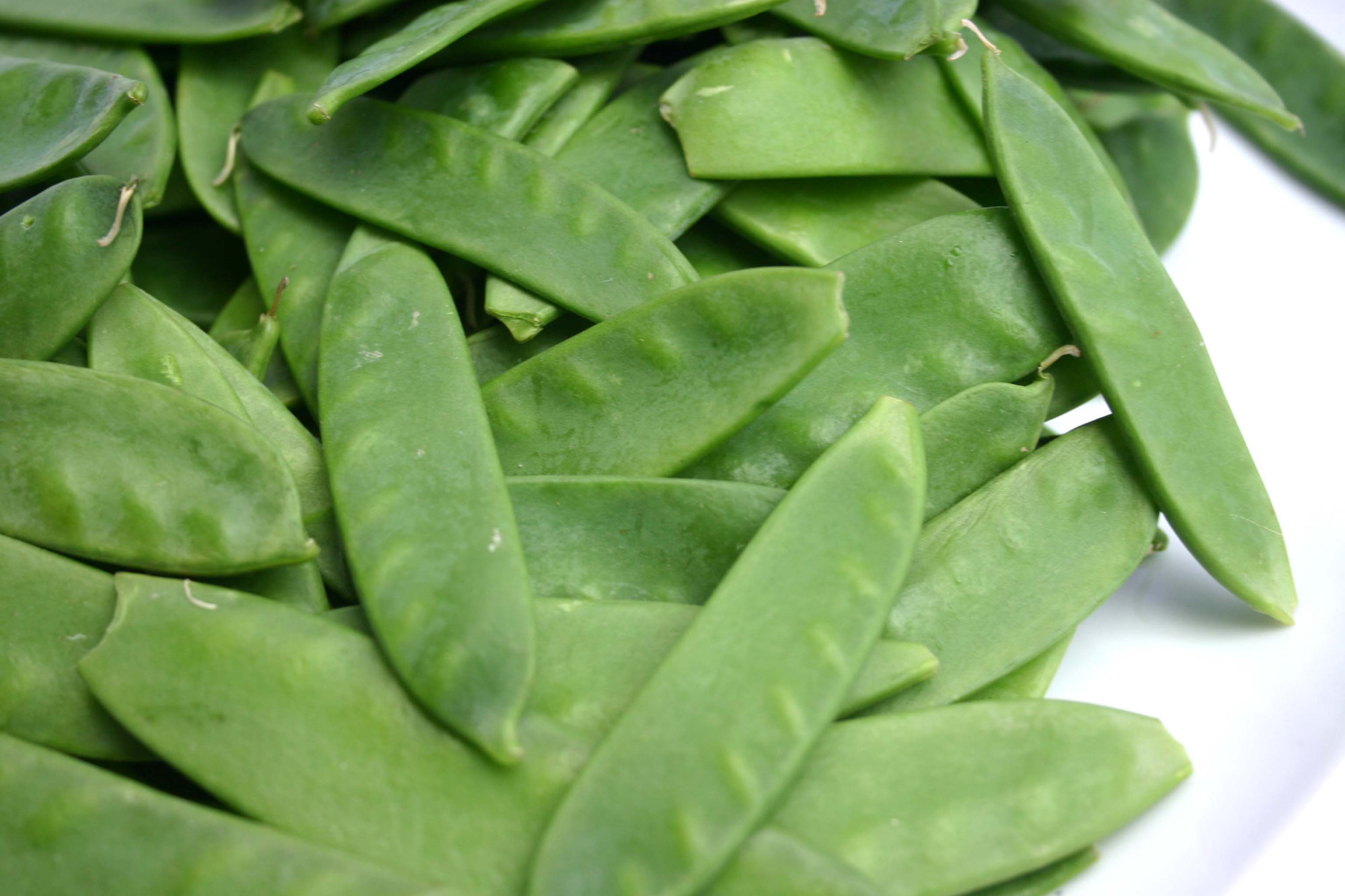 Peas — Chinese Snow Pea/Pea Pod/Mange Tout