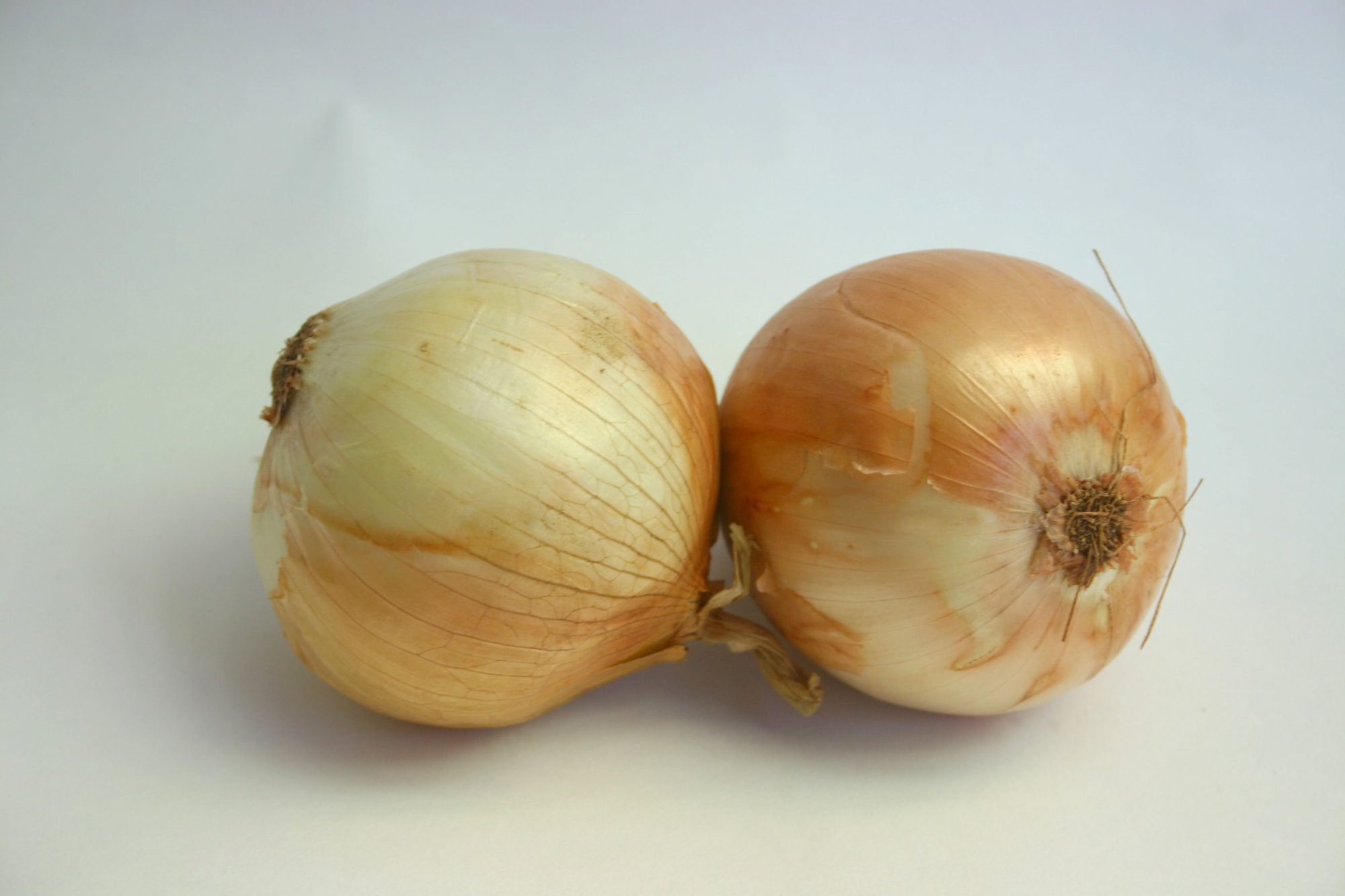 Onions — Maui