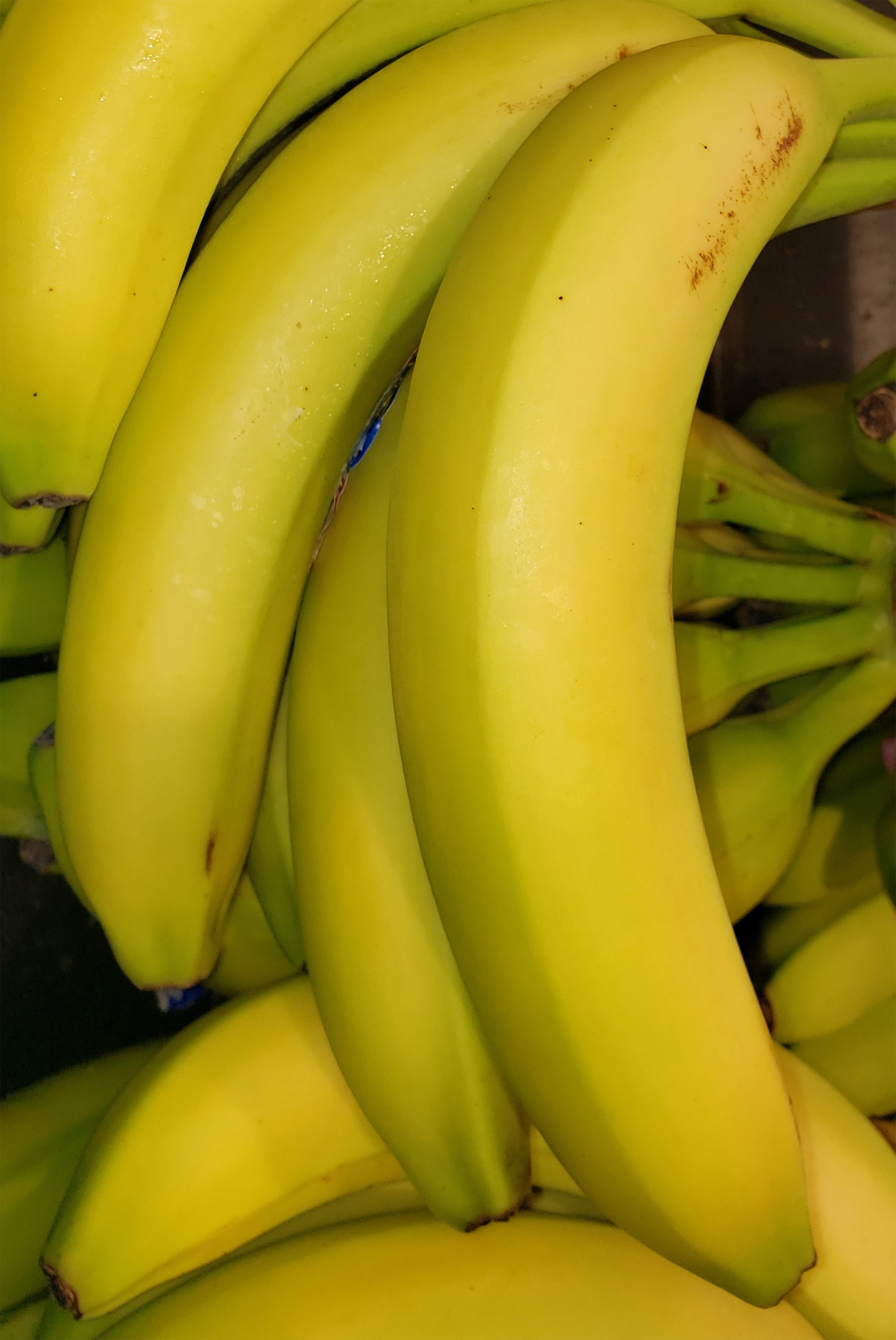 Bananas — Yellow (includes Cavendish)