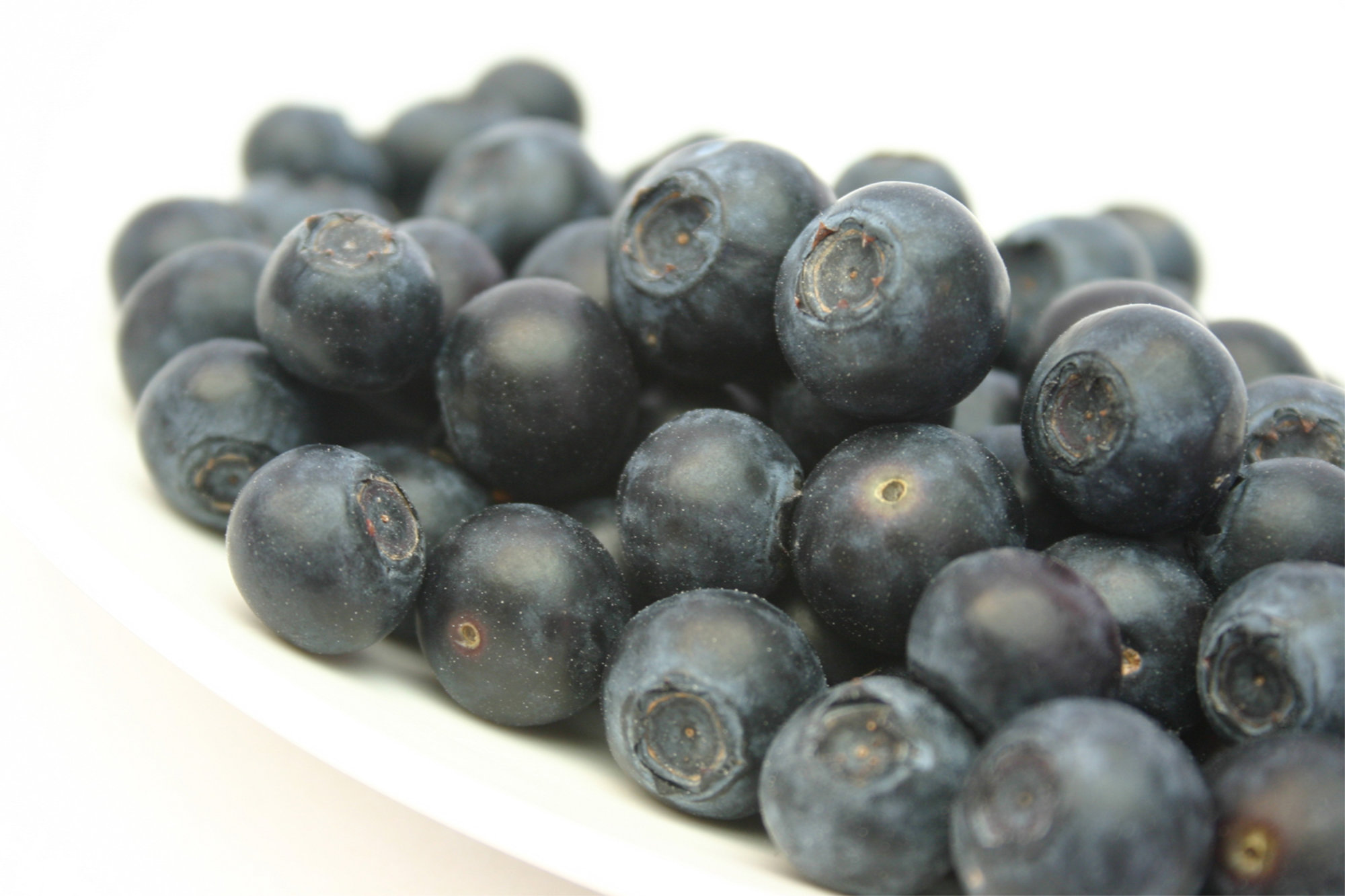 Berries — Blueberries