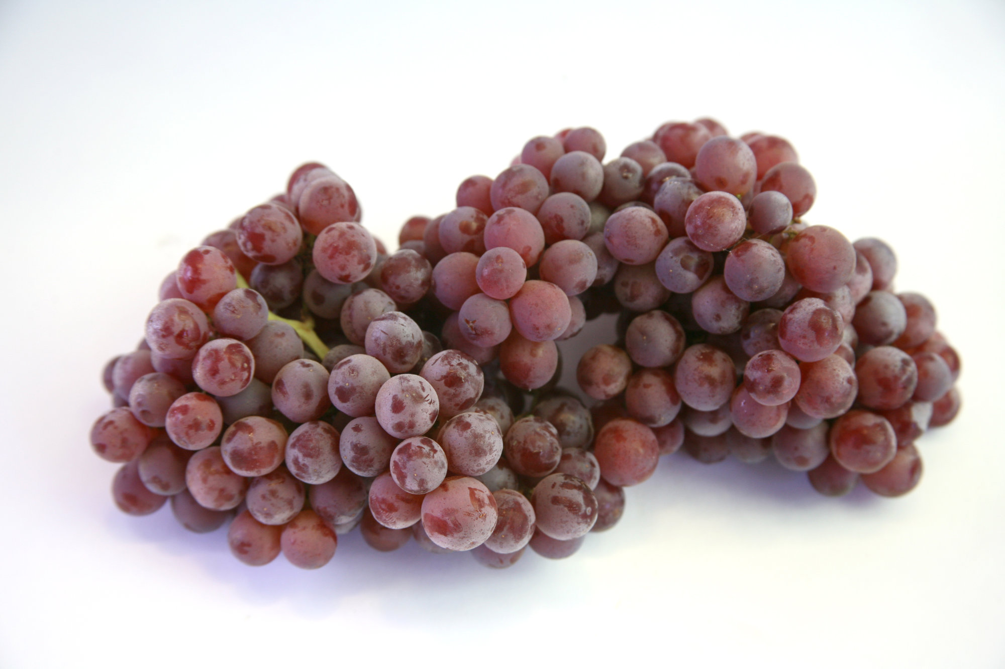 Grapes — Champagne